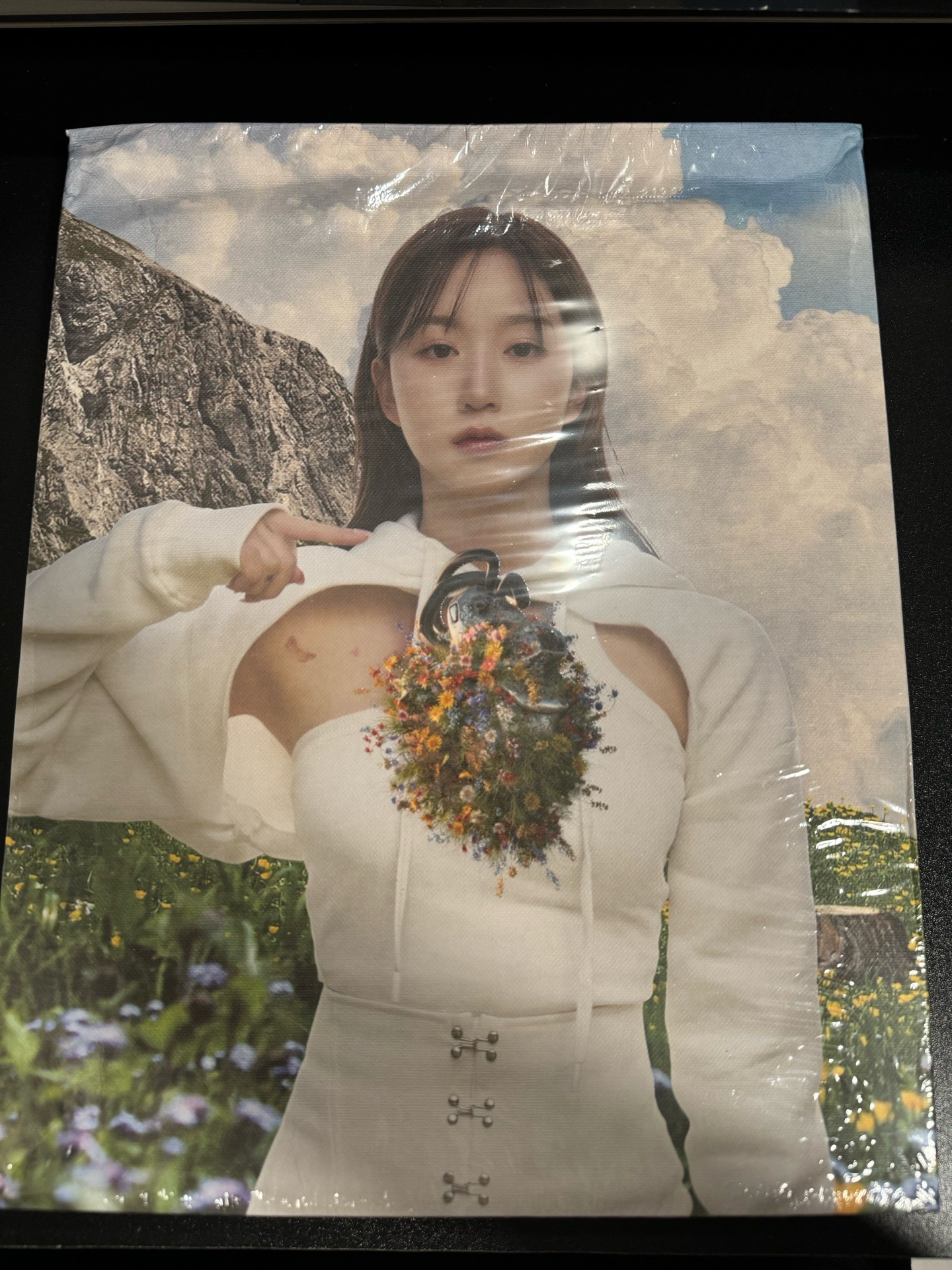 HAEWON 未拆油畫專