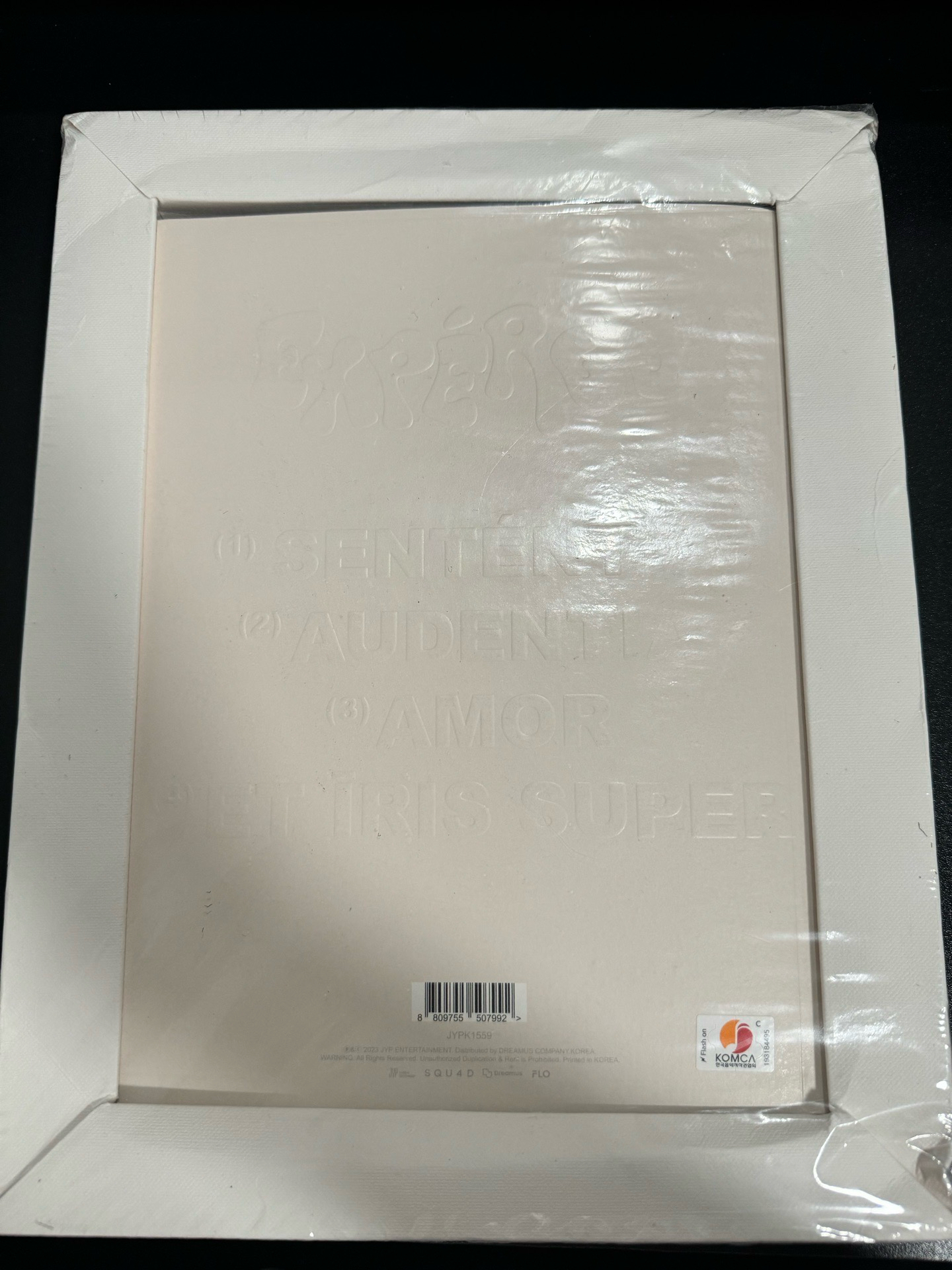 HAEWON 未拆油畫專