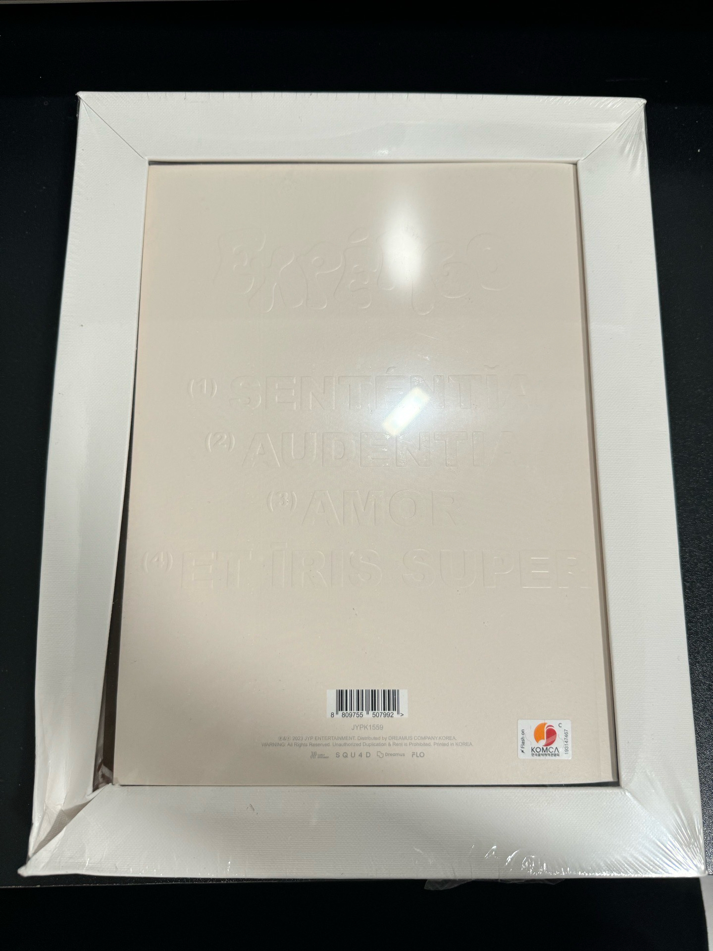 HAEWON 未拆油畫專