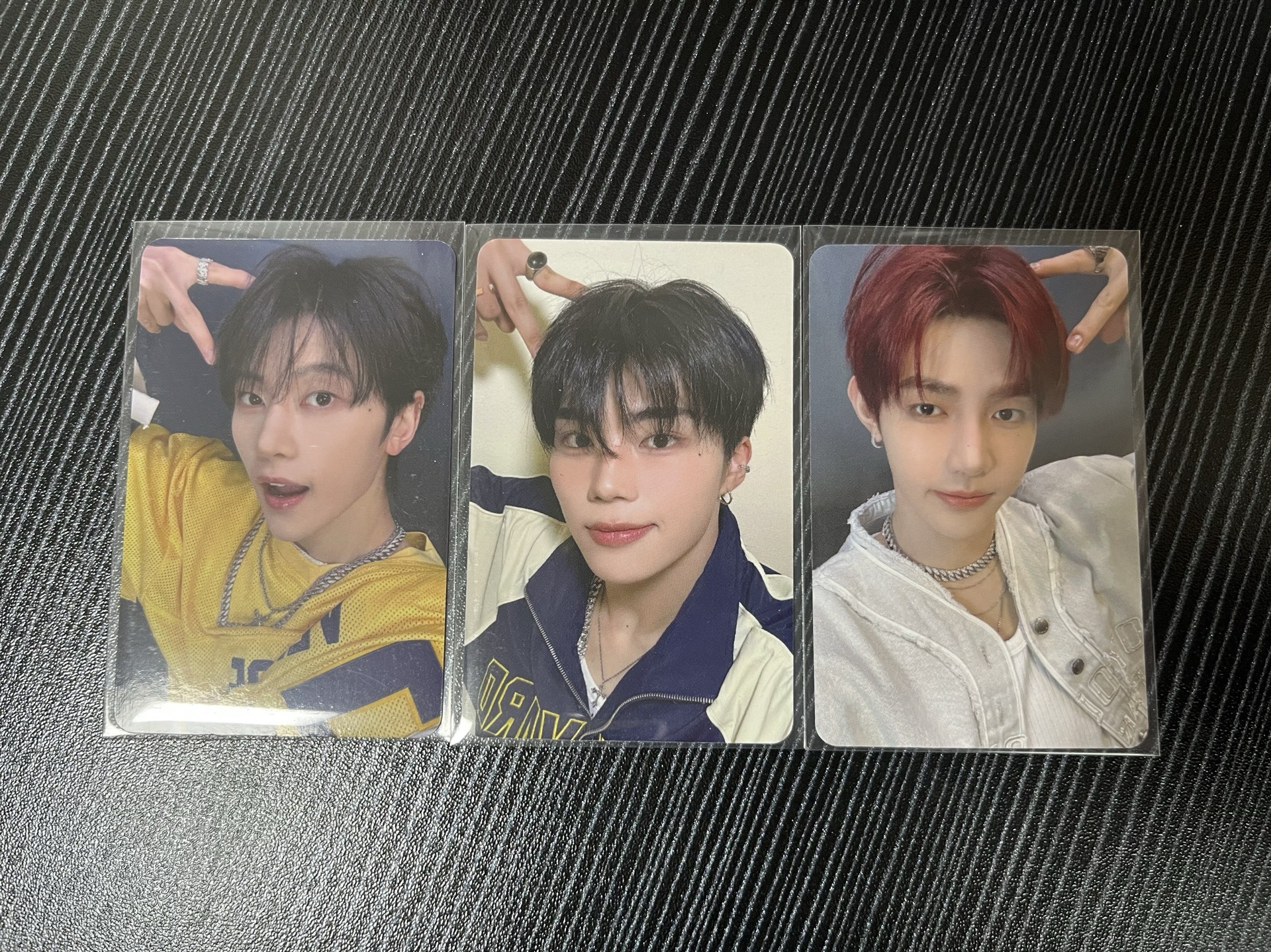 zb1 NEVER SAY NEVER AM貓耳 LD