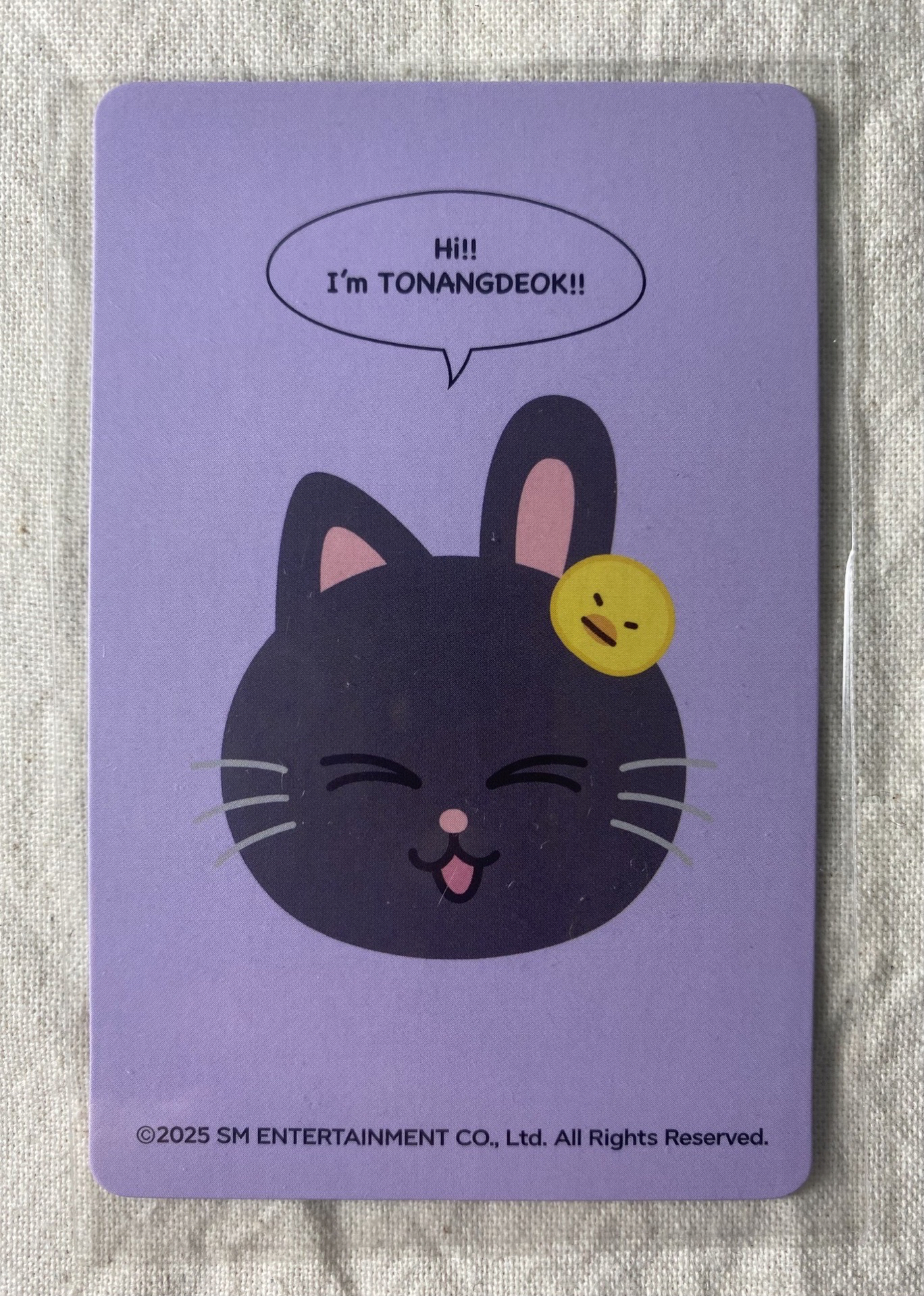 RIIZE WONDERLAND MD 玩偶盲盒兔貓鴨卡