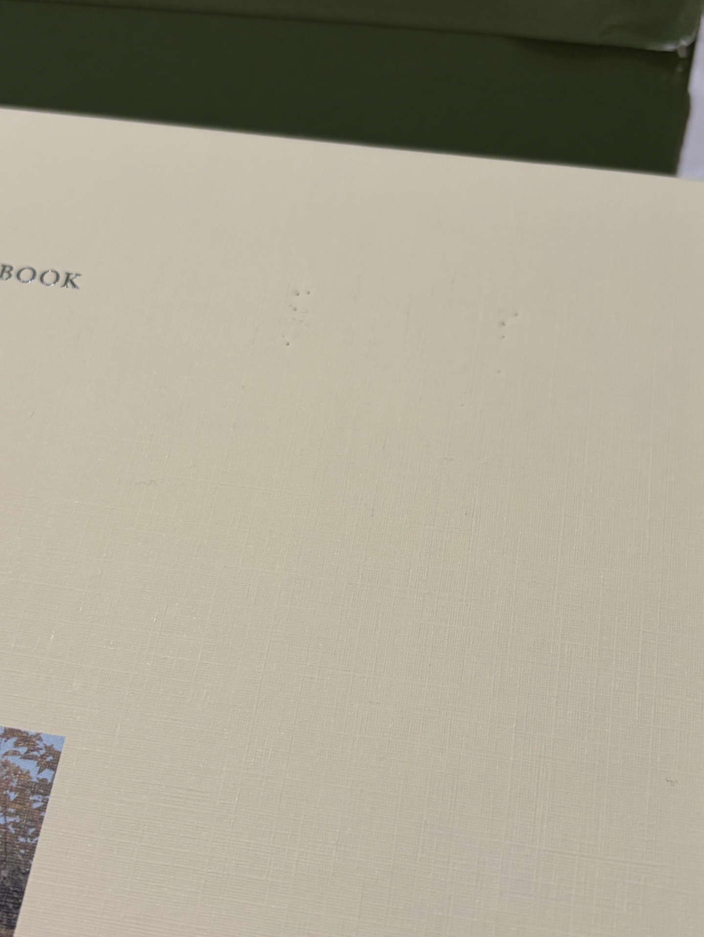 🩵Social Club一套 無小卡名片（500）