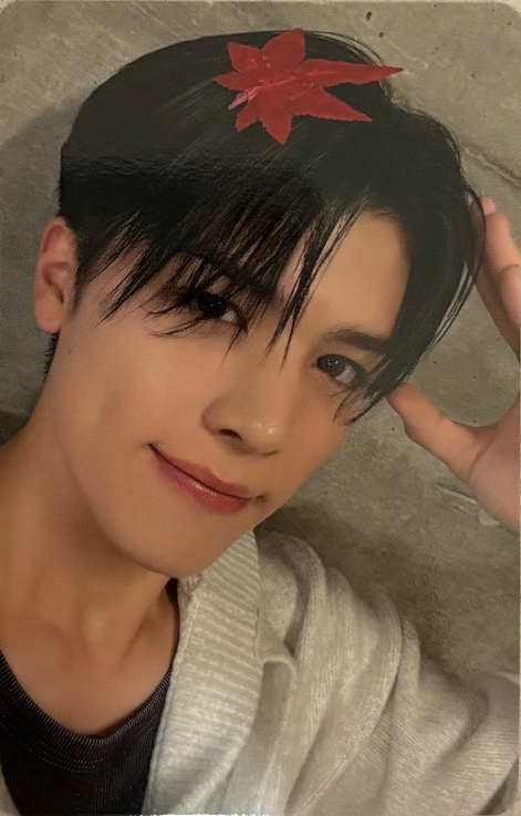 把🍁放在頭上的小狗