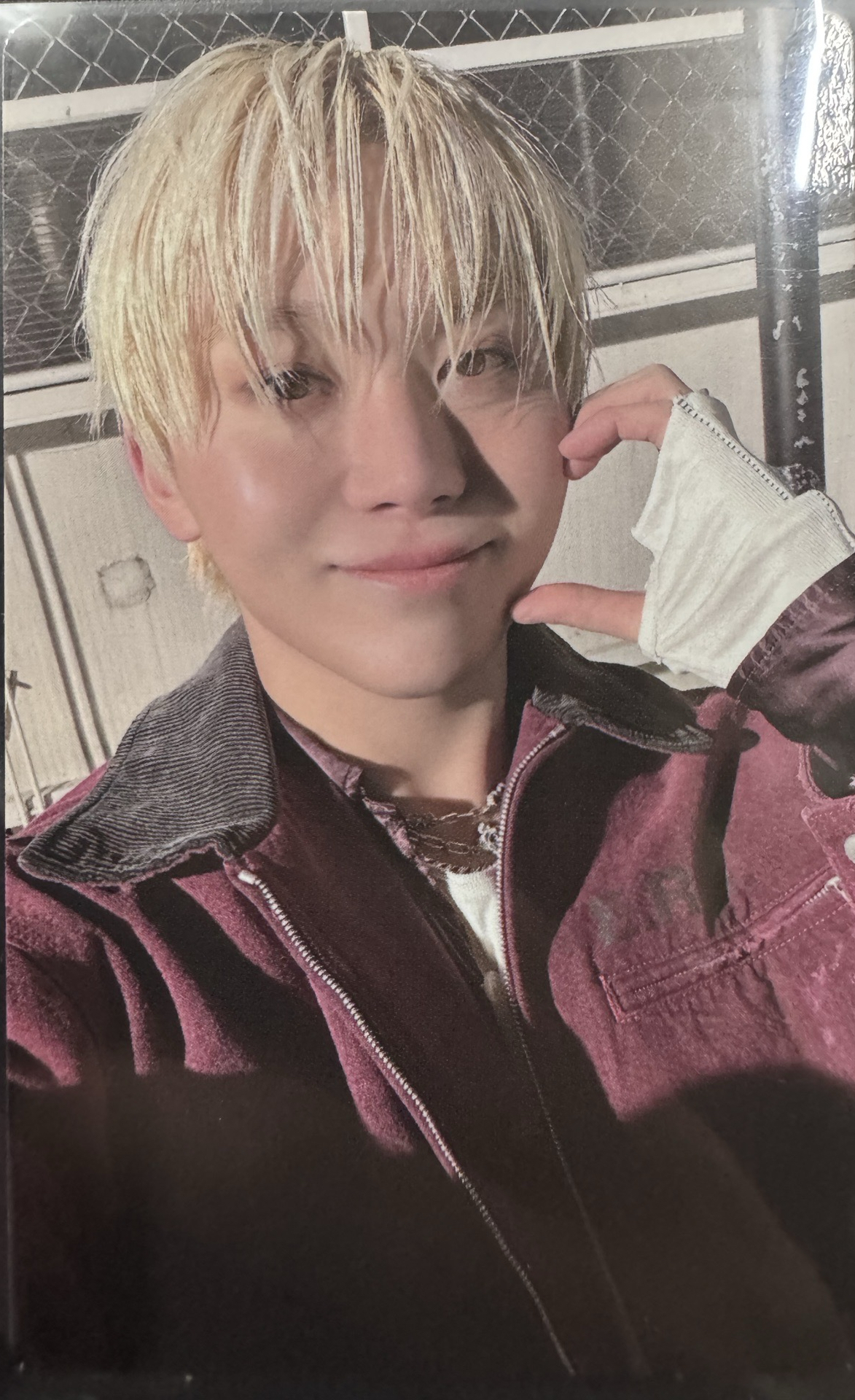 WVS PB 預購特典卡