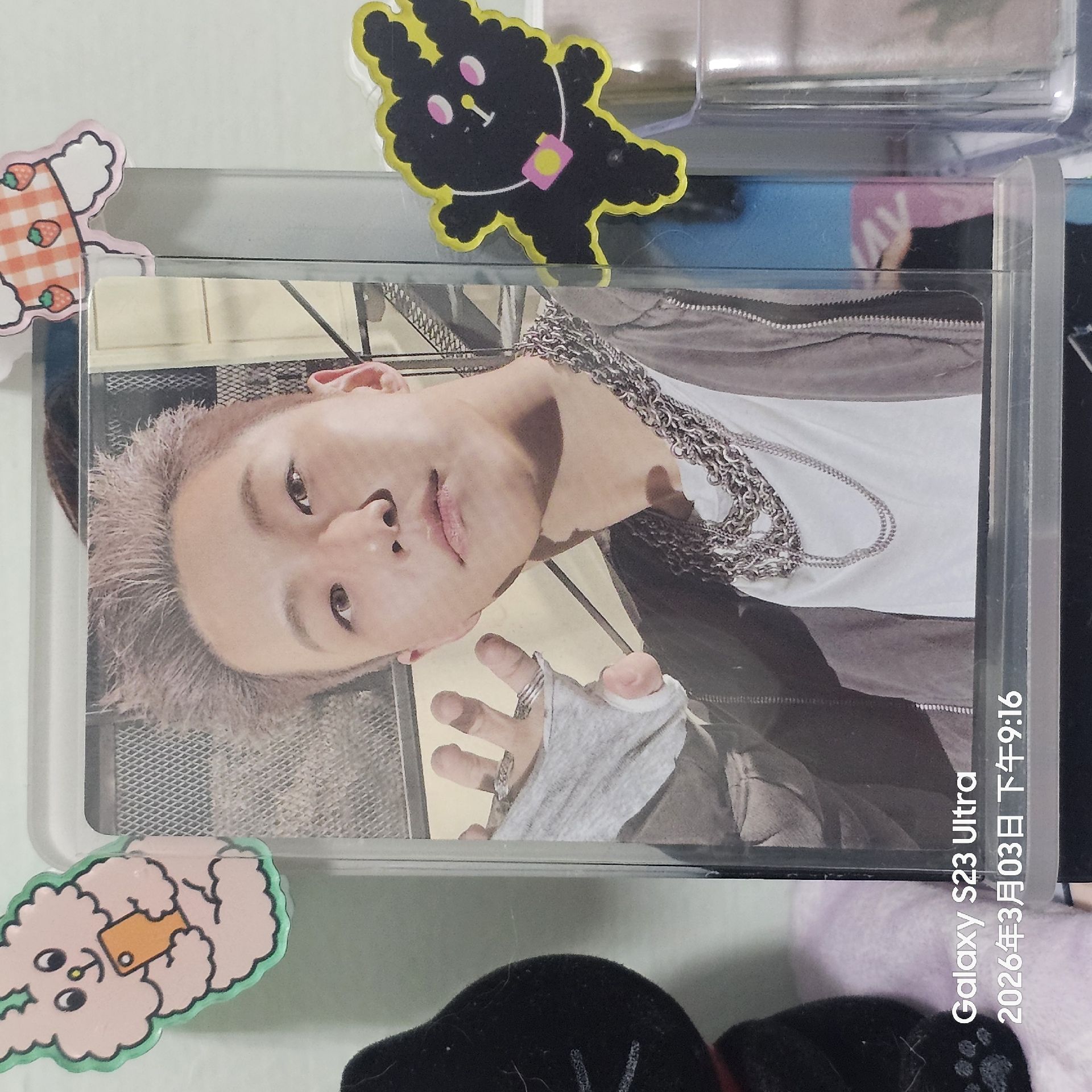 正五 WVS PB預售特典卡 權順榮/權純永 