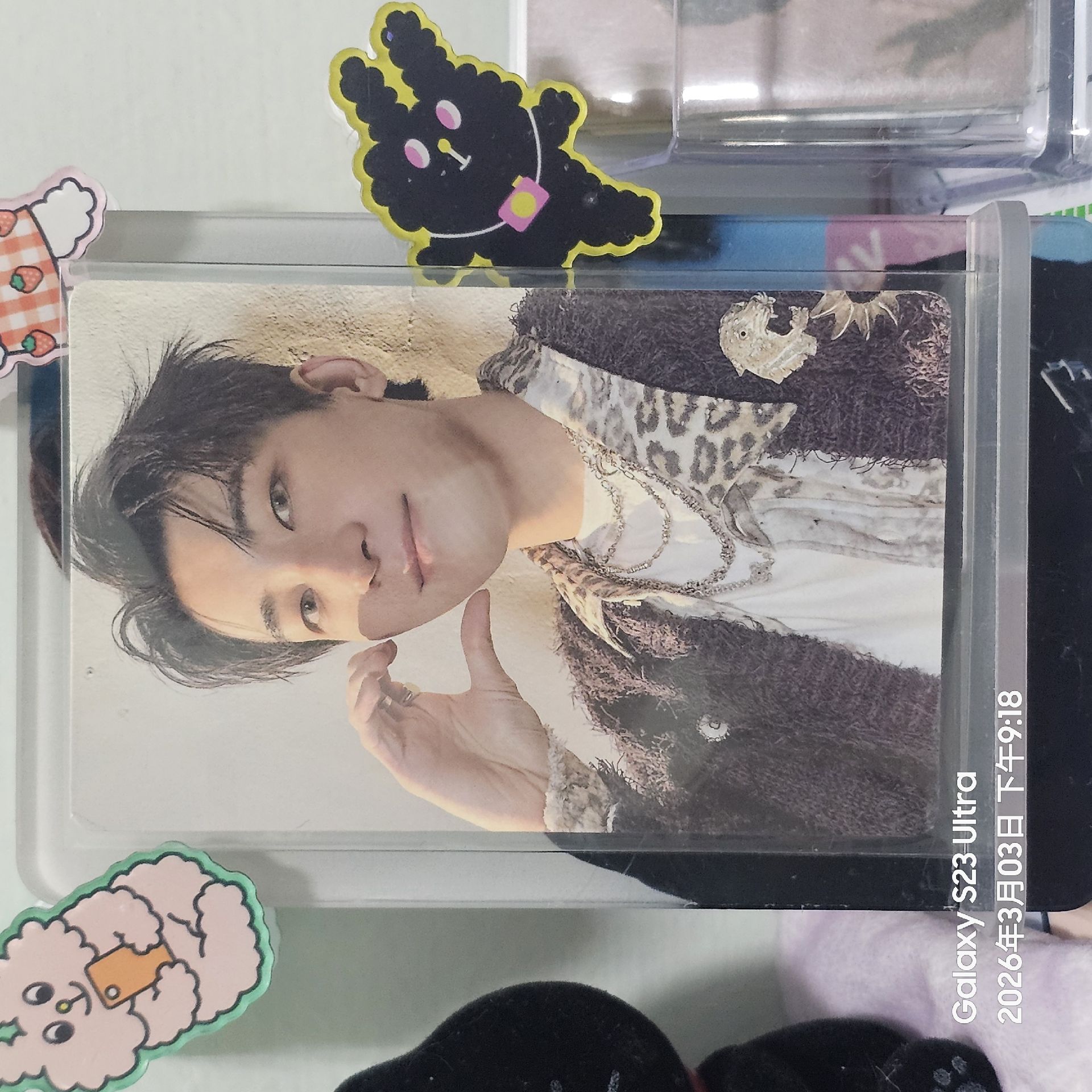 正五 WVS PB預售特典卡 全圓佑