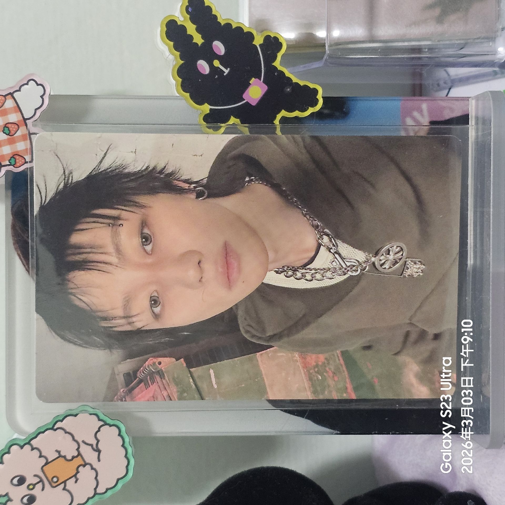 正五 WVS PB預售特典卡 徐明浩