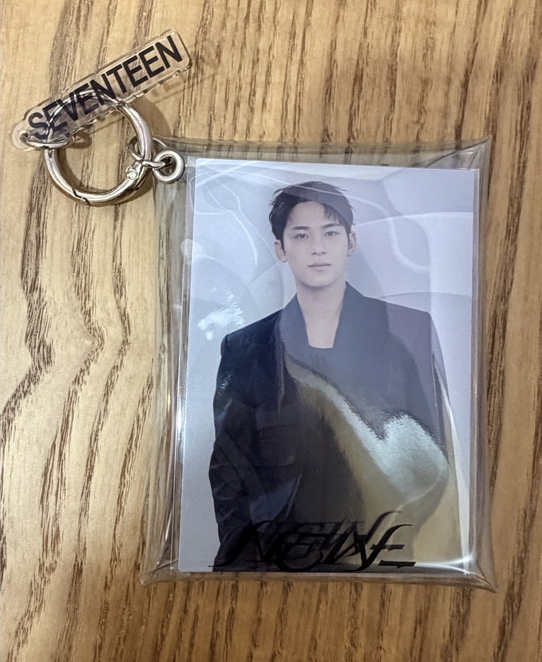 NEW_ 日巡pvc 小包 秀、奎