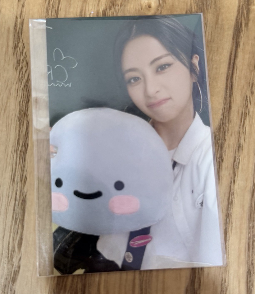 FIM’S CLUB 滿額卡 抱枕ver.