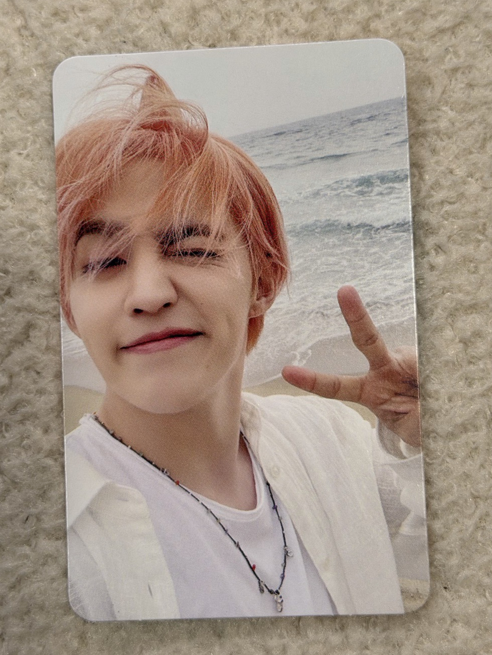 哲 MINI12 專輯卡 wvs電子專