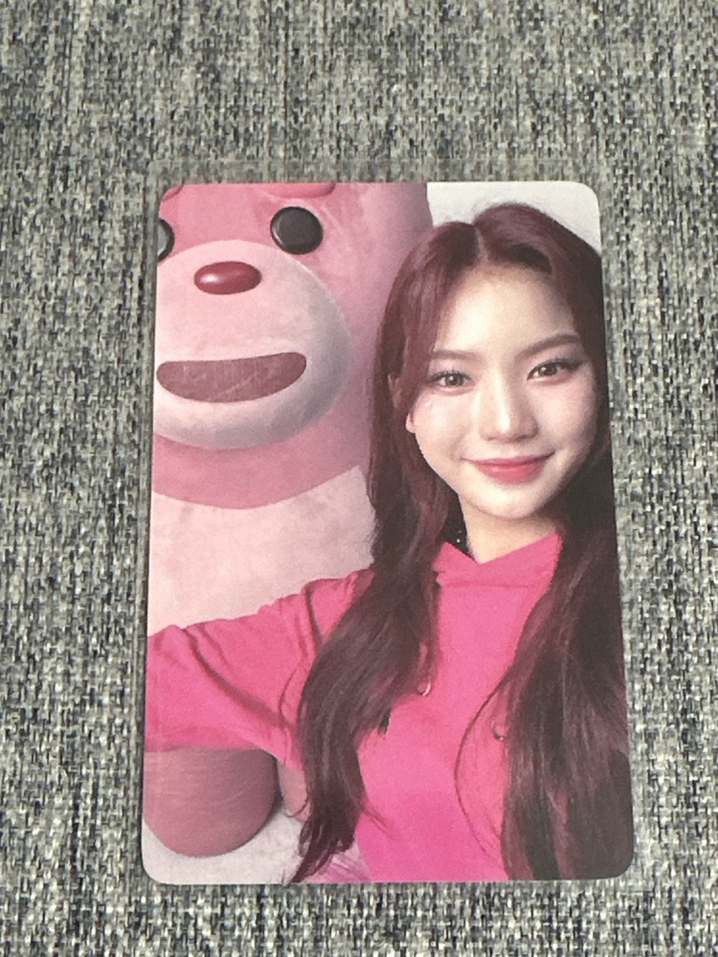 Teddy Bear wm 快閃 滿額卡 