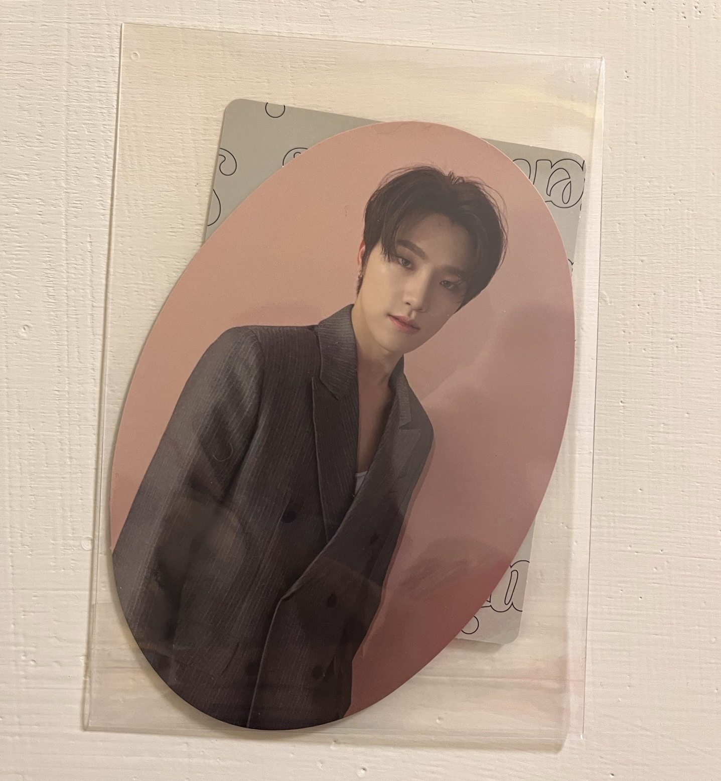 特二 專輯卡 DINO