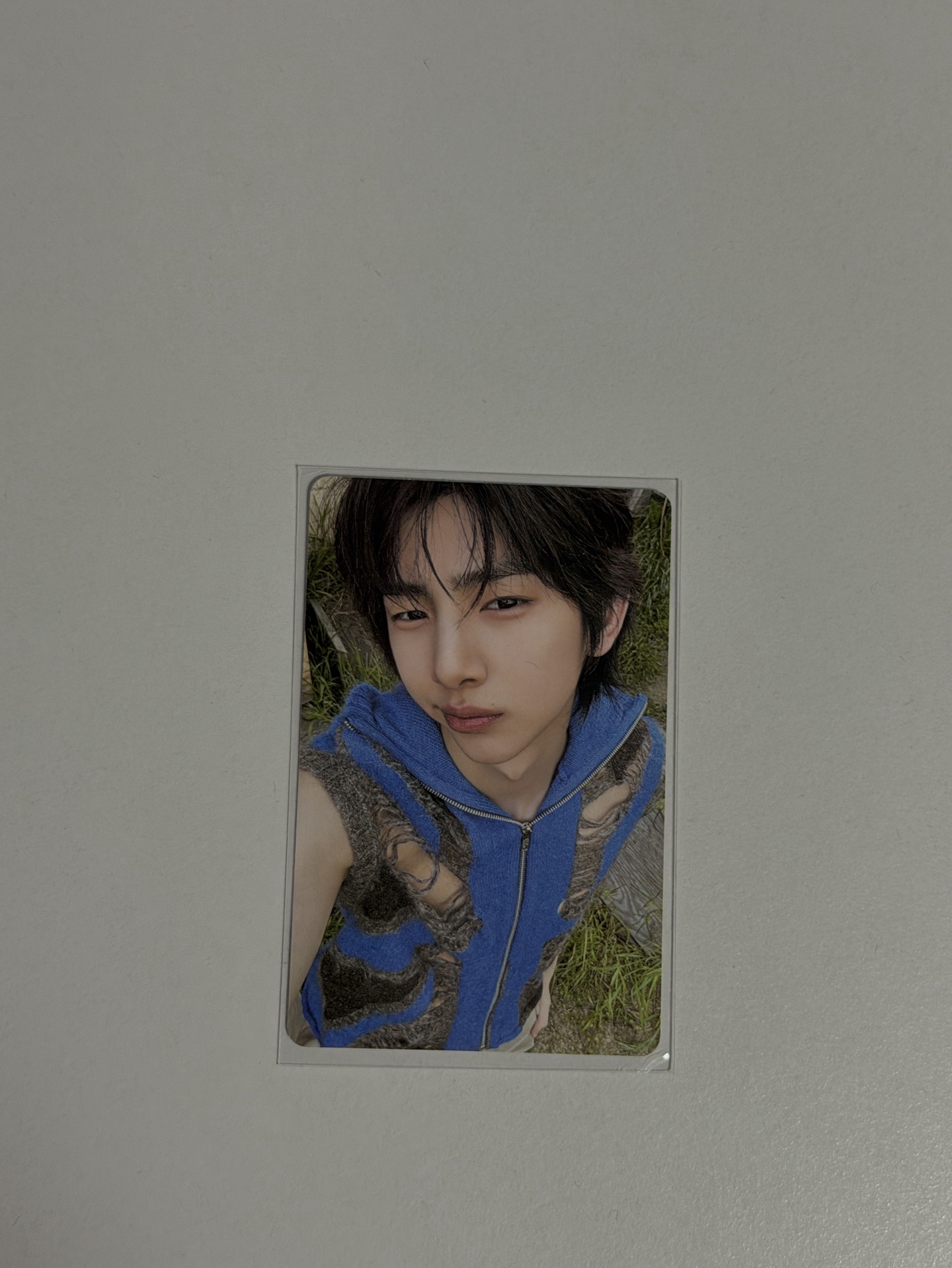 Cortis電子專 金主訓專卡A/B版