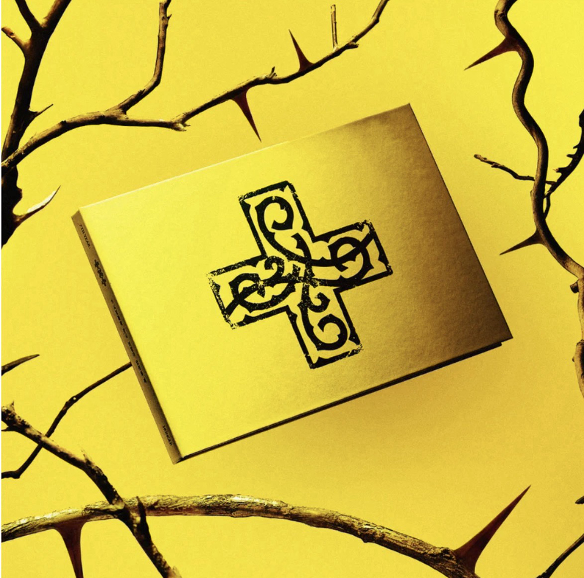 🇺🇸《7TH YEAR: AMoment of Stillness in the Thorns》美通親簽 專輯預購