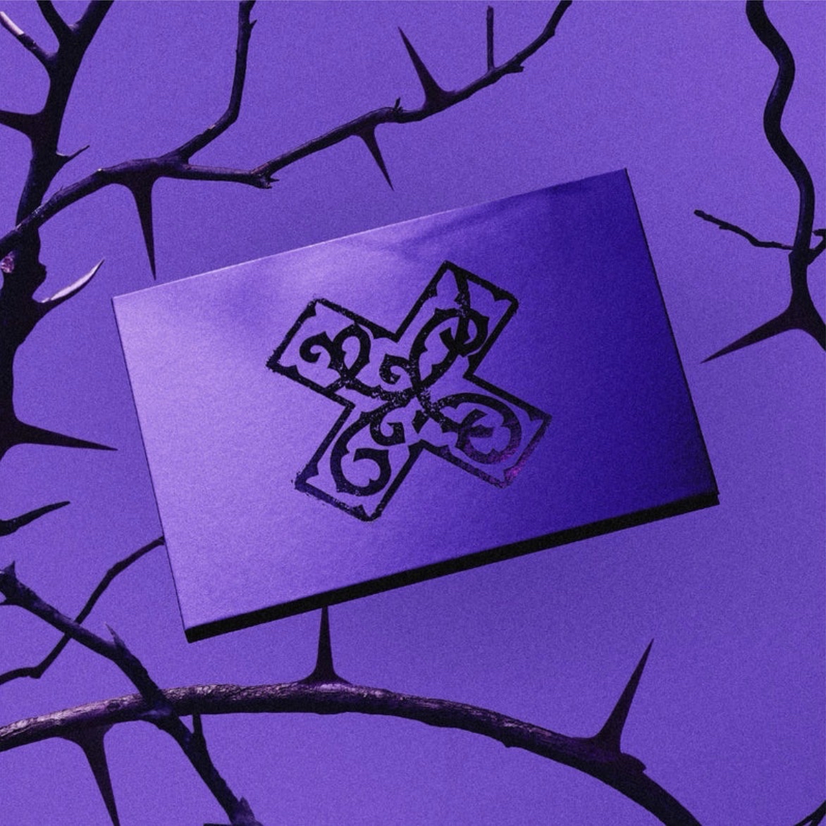 🇺🇸《7TH YEAR: AMoment of Stillness in the Thorns》美通親簽 專輯預購