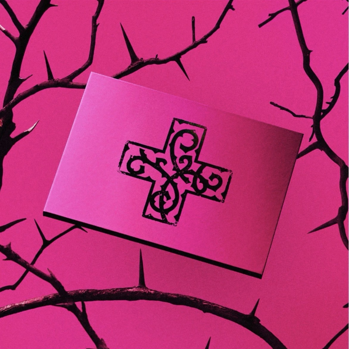 🇺🇸《7TH YEAR: AMoment of Stillness in the Thorns》美通親簽 專輯預購