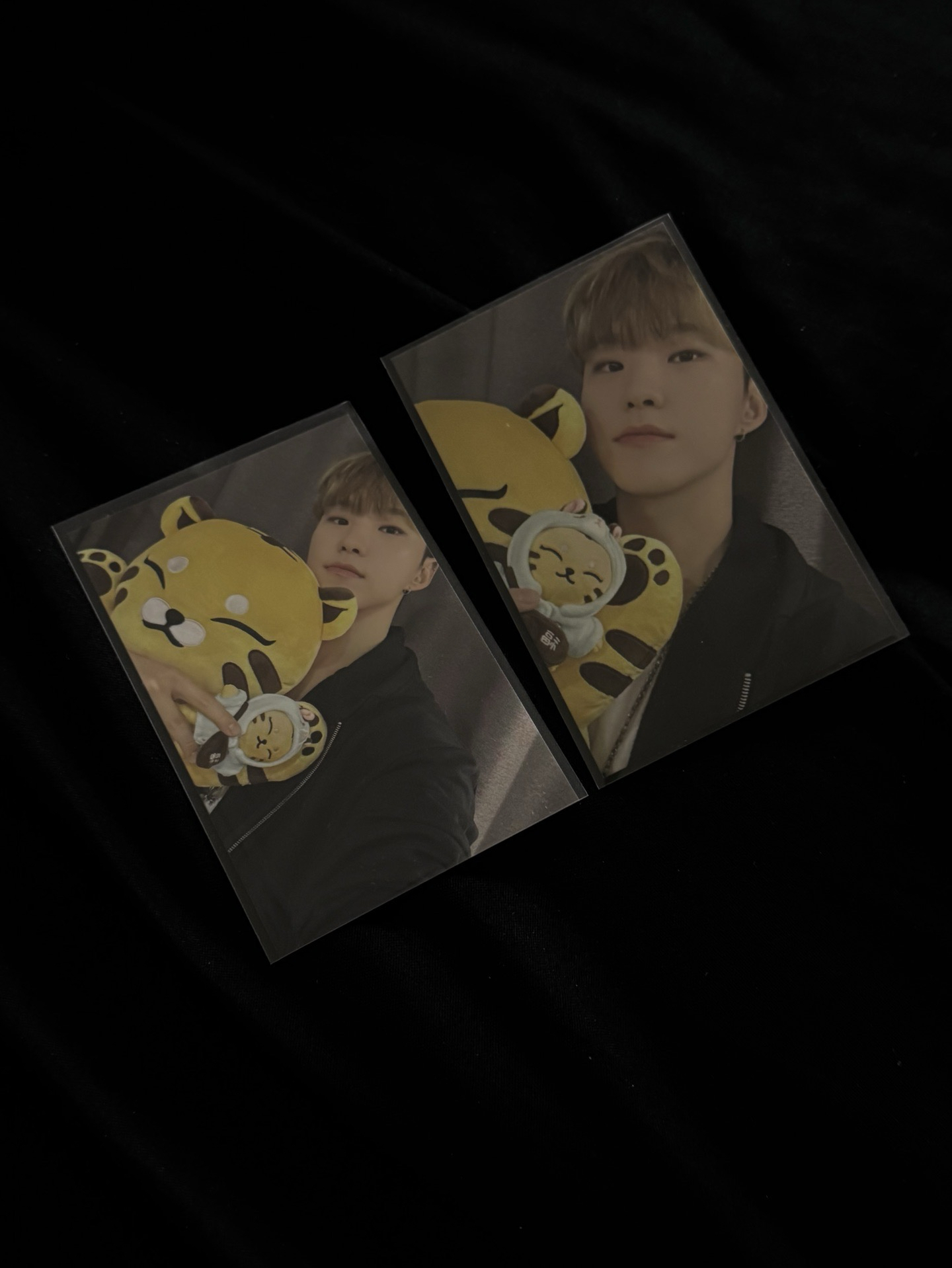 / 權順榮大小耽耽周邊卡