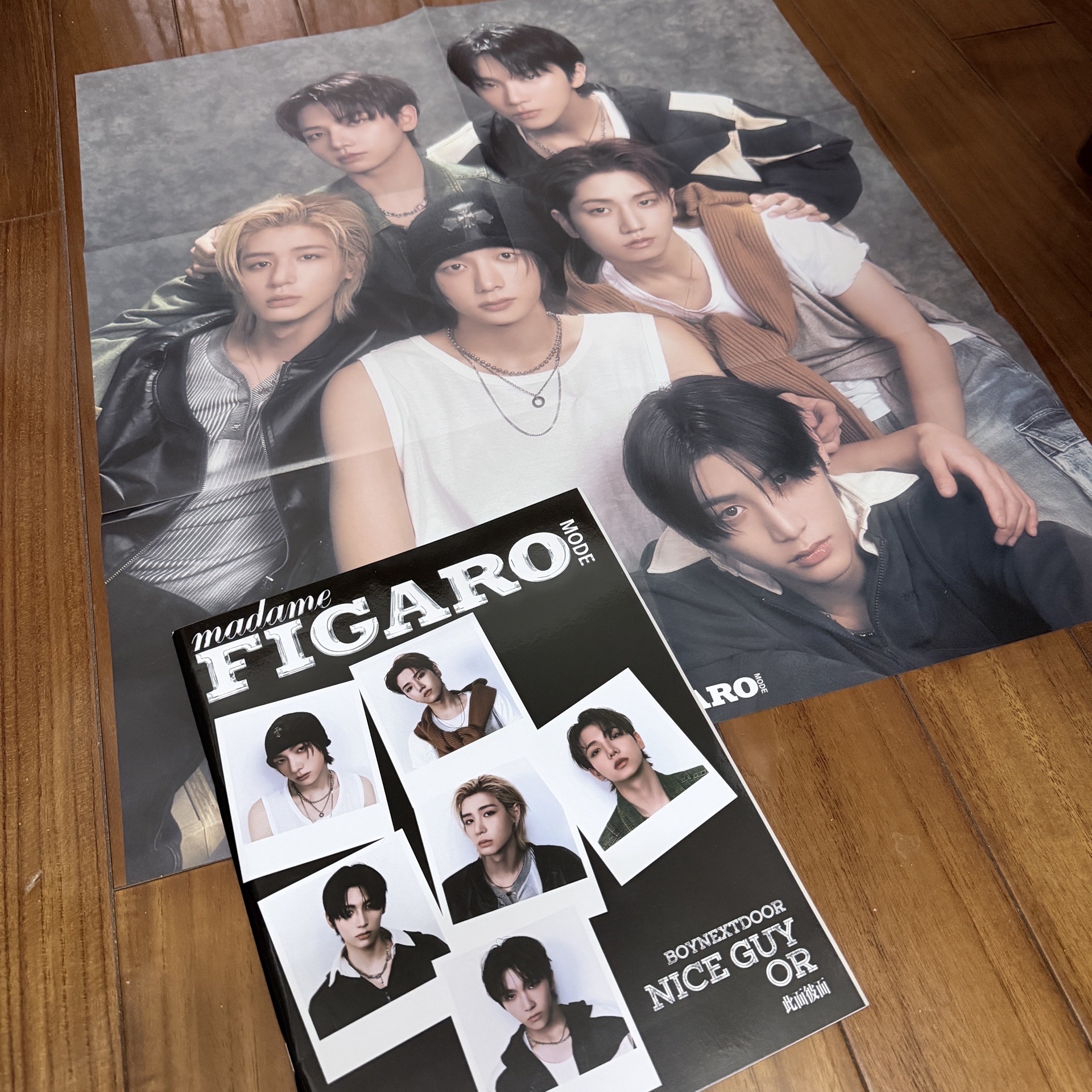 🟡費加羅雜誌B版（含海報）