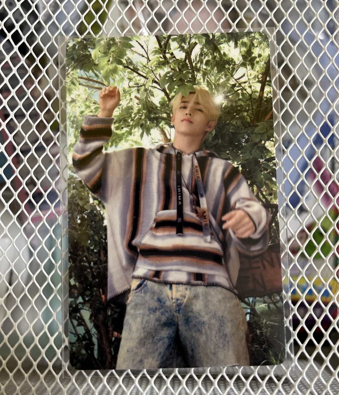 MINI11 wvs 特典卡 哲