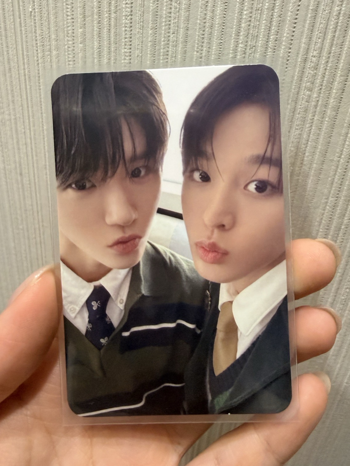 日專雙人卡 果凍