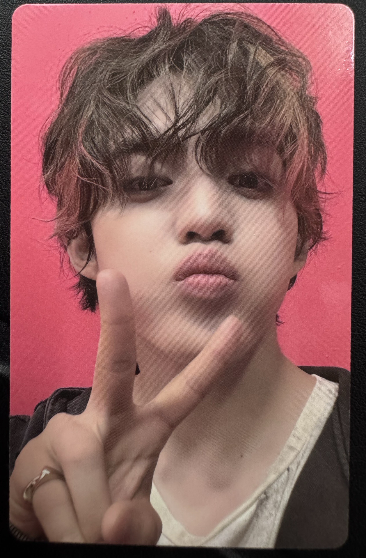 正五 wvs 特典卡