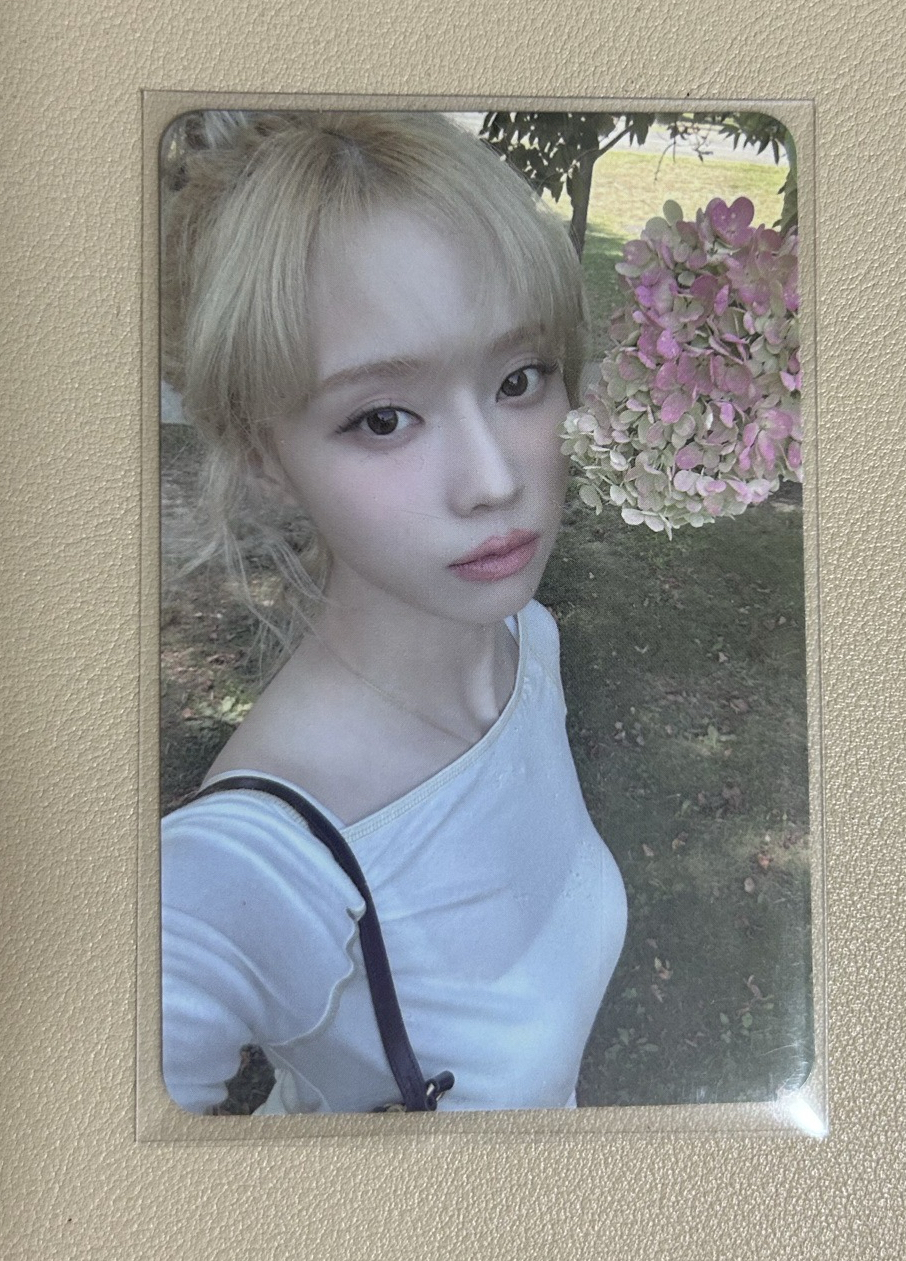 Whiplash sm 幸運卡 幸運冬