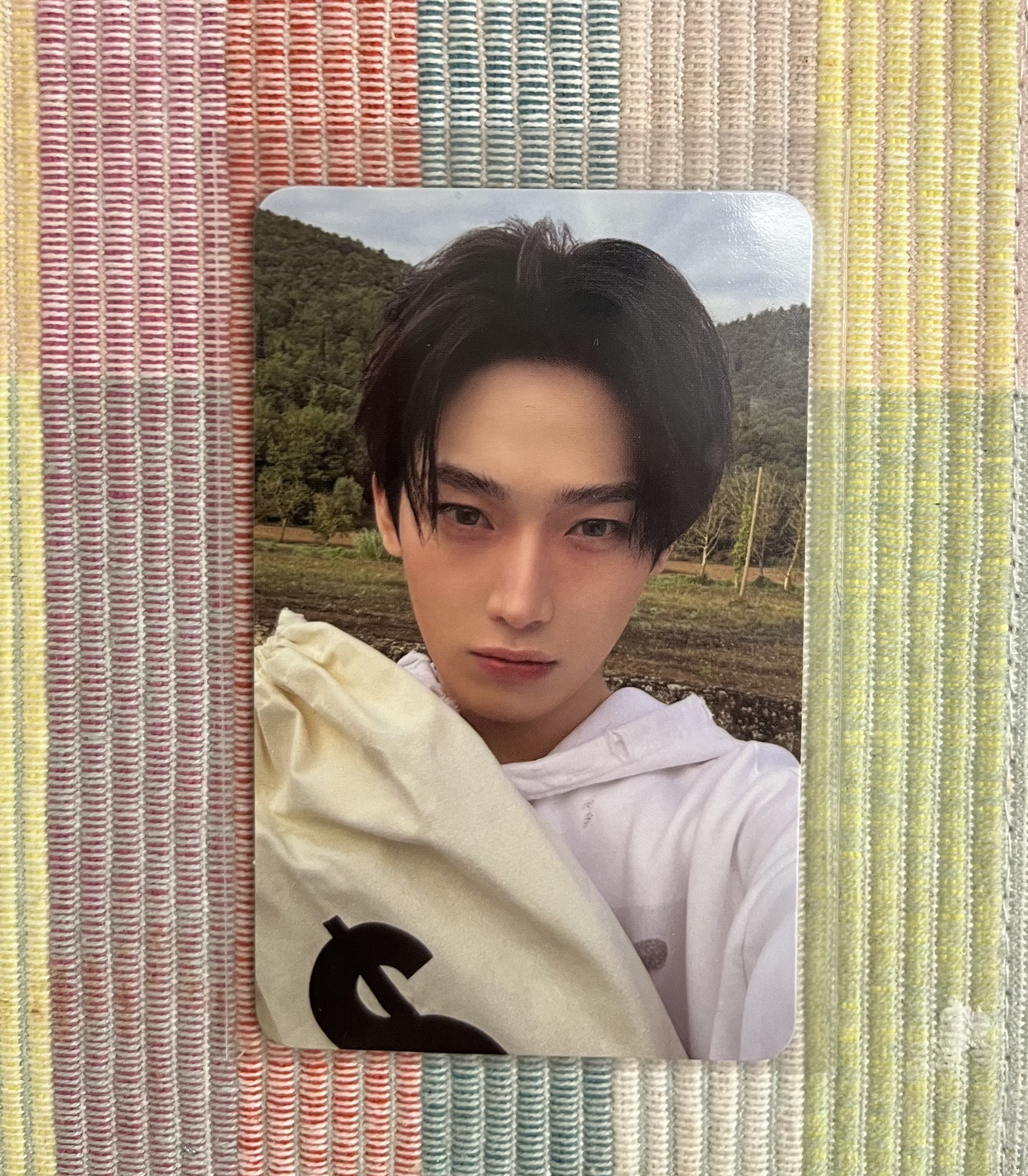 Enhypen 禹迷七專卡