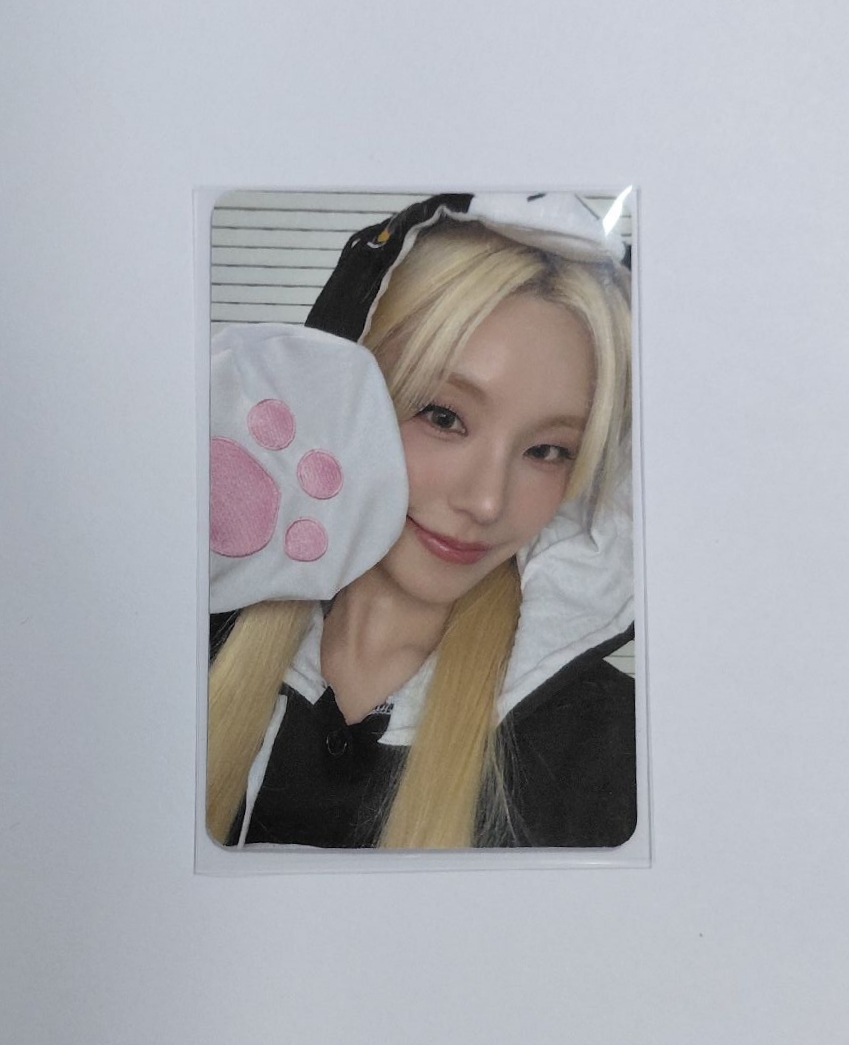 tnvs sr2.0 小貓志