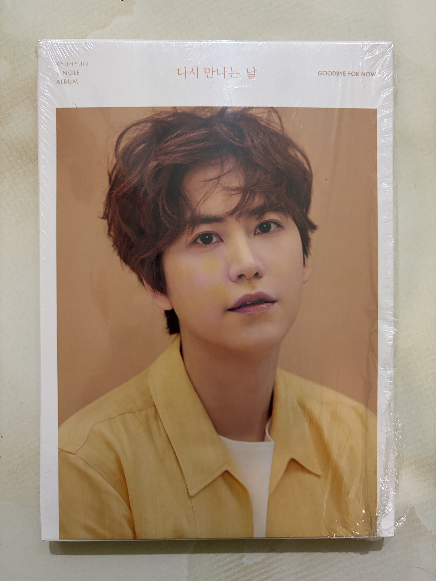 圭賢 Goodbye for now 空專