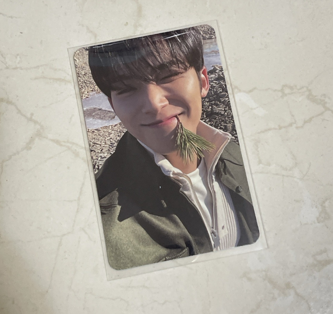 咬草奎（需綁🍋🍋）