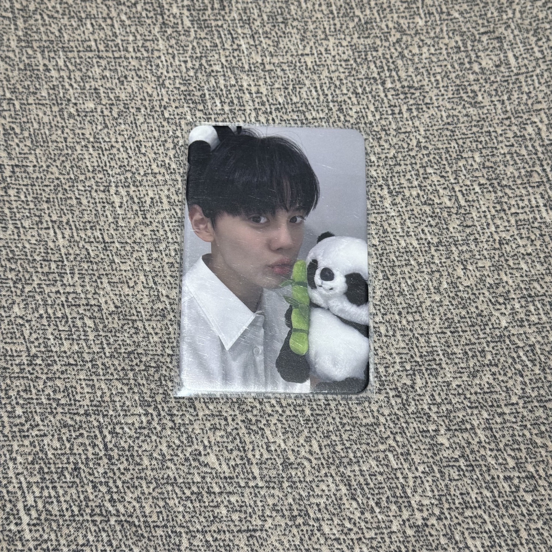 迷三 am 特典卡 熊貓 ver.