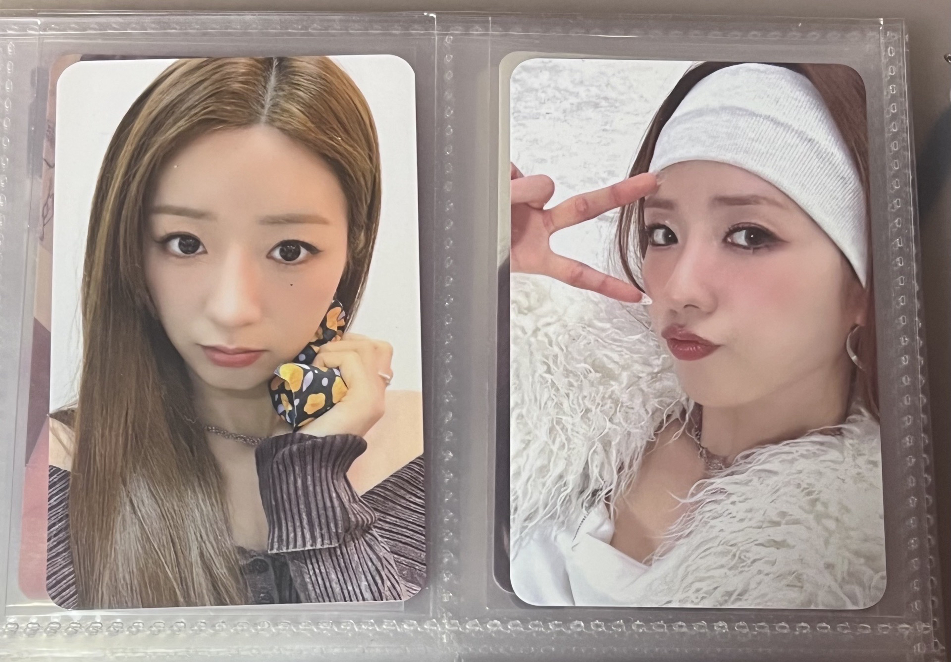 普美 SW MS特典卡