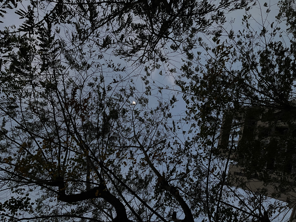 ˖˚⋆𐙚fanu•o•ufan‎⁺˳‎ ོ☼