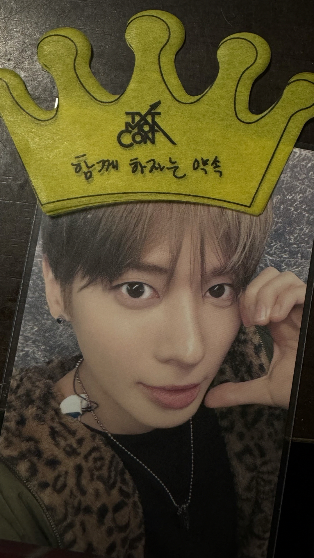 MOAcon 粽卡顯🐱