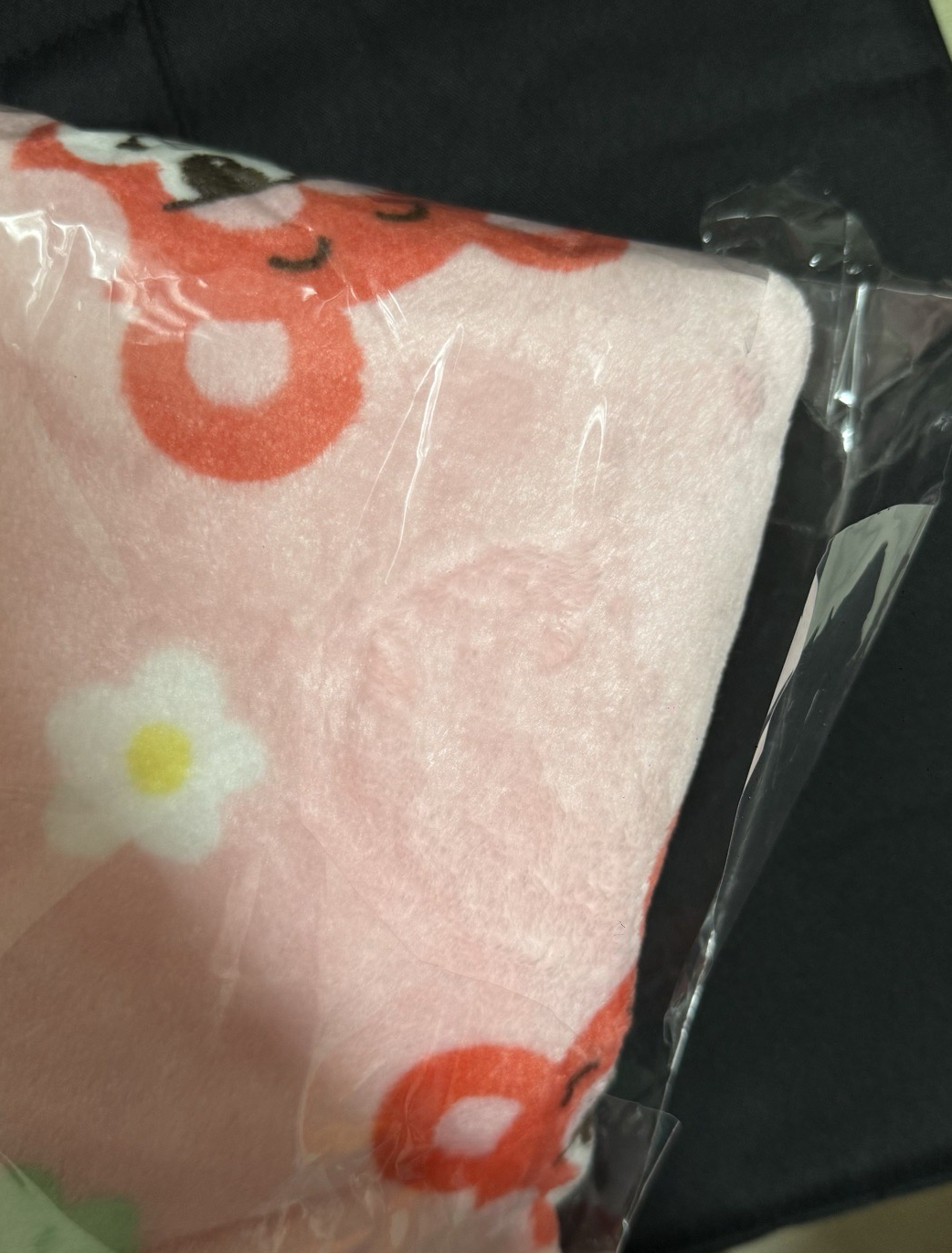 RIIZE × MOSHI THAILAND 栗子扣毛毯