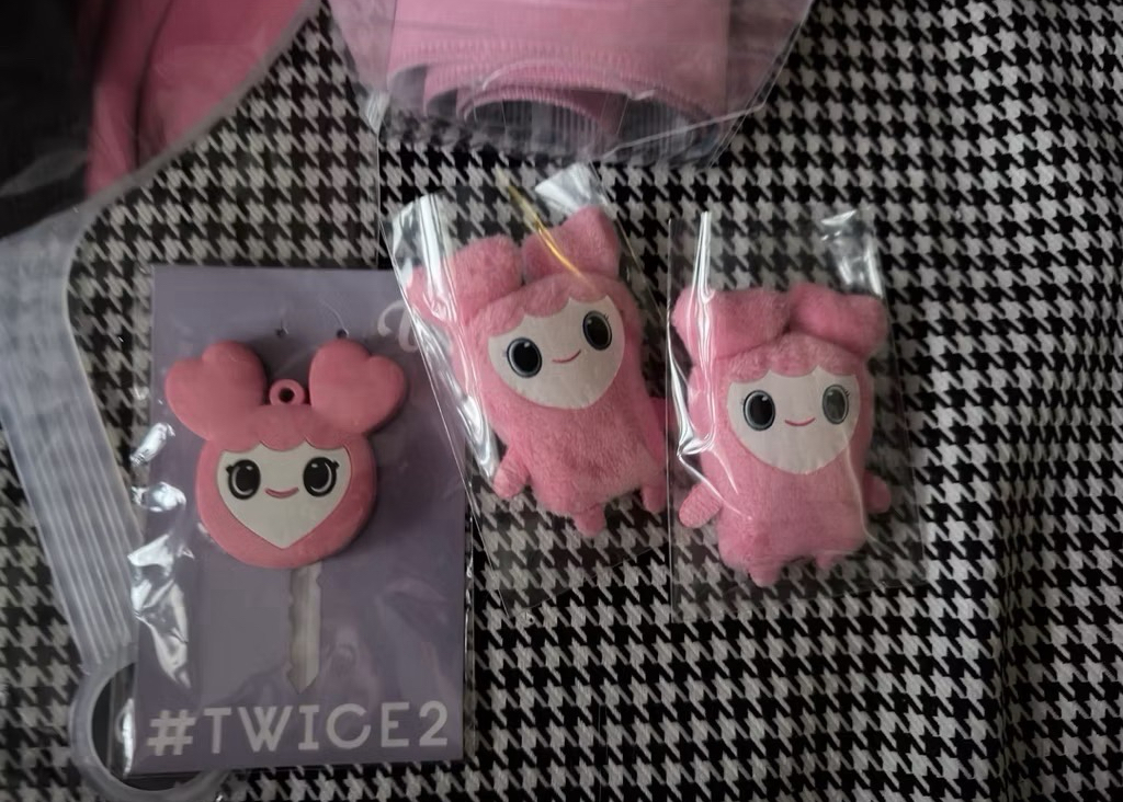 （整圖出 紙箱寄出）twice momo 手幅 大扇 lovelys 