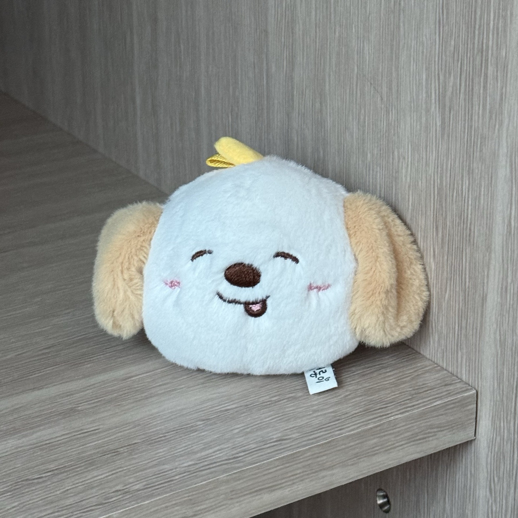 ★ 狗龍上海快閃盲盒 ★