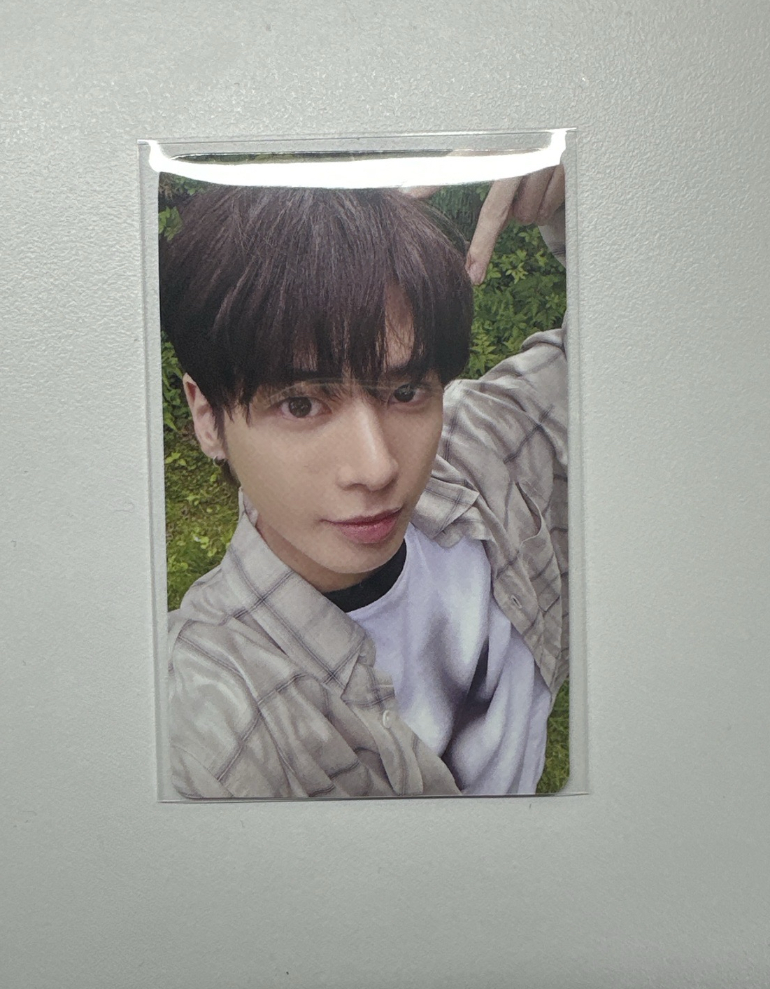 三巡場限貓耳顯