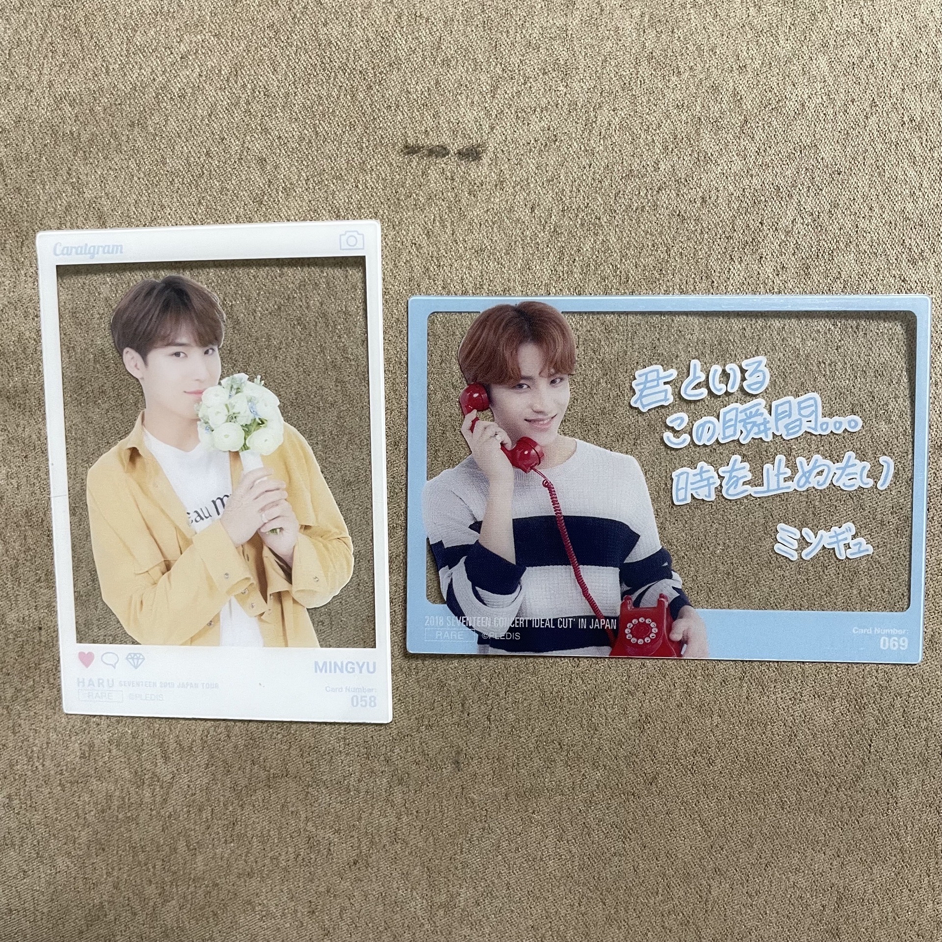 seventeen 18/19年 日巡奎透卡