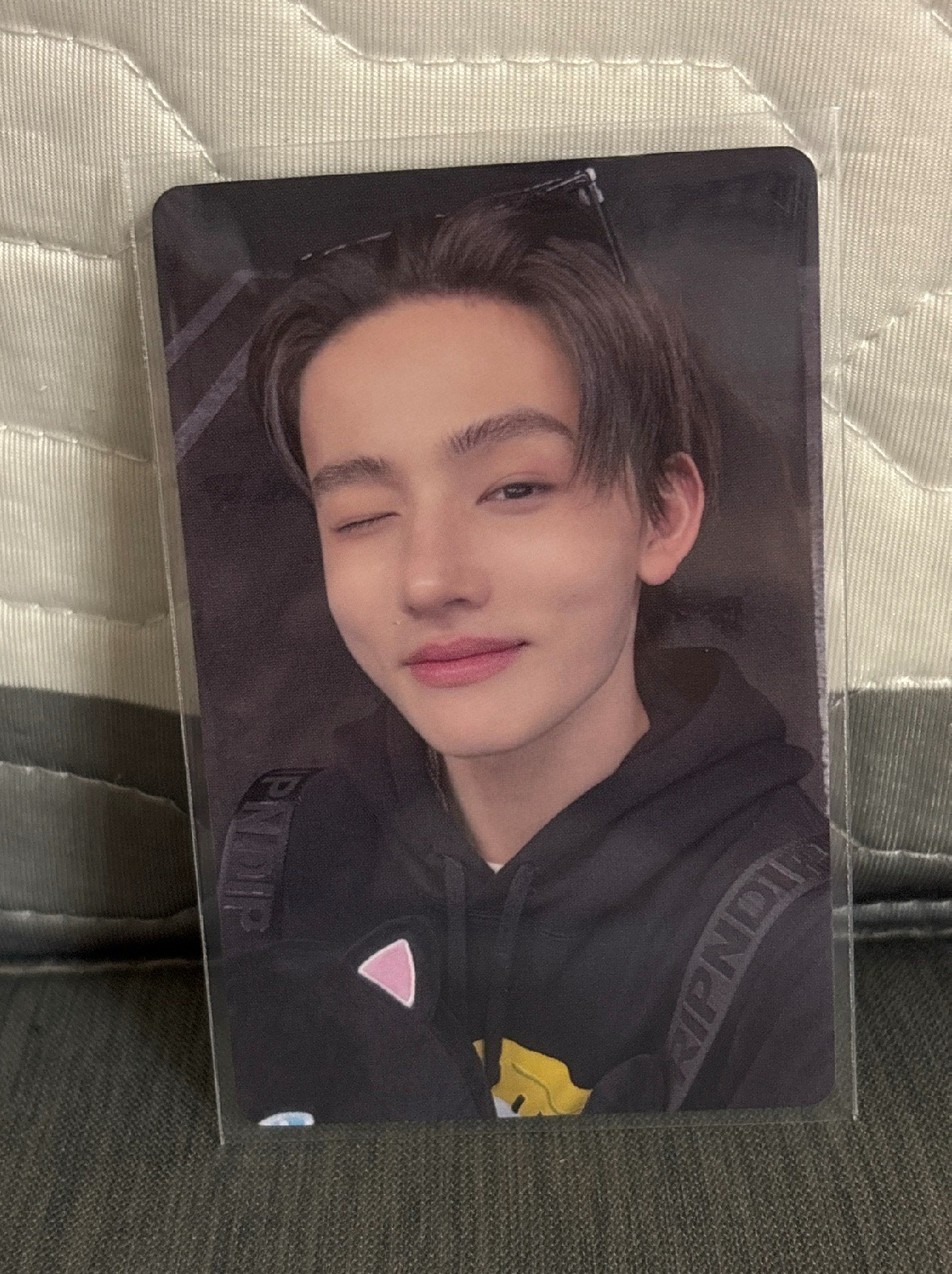 MA1.0 賤貓 嚴成玹