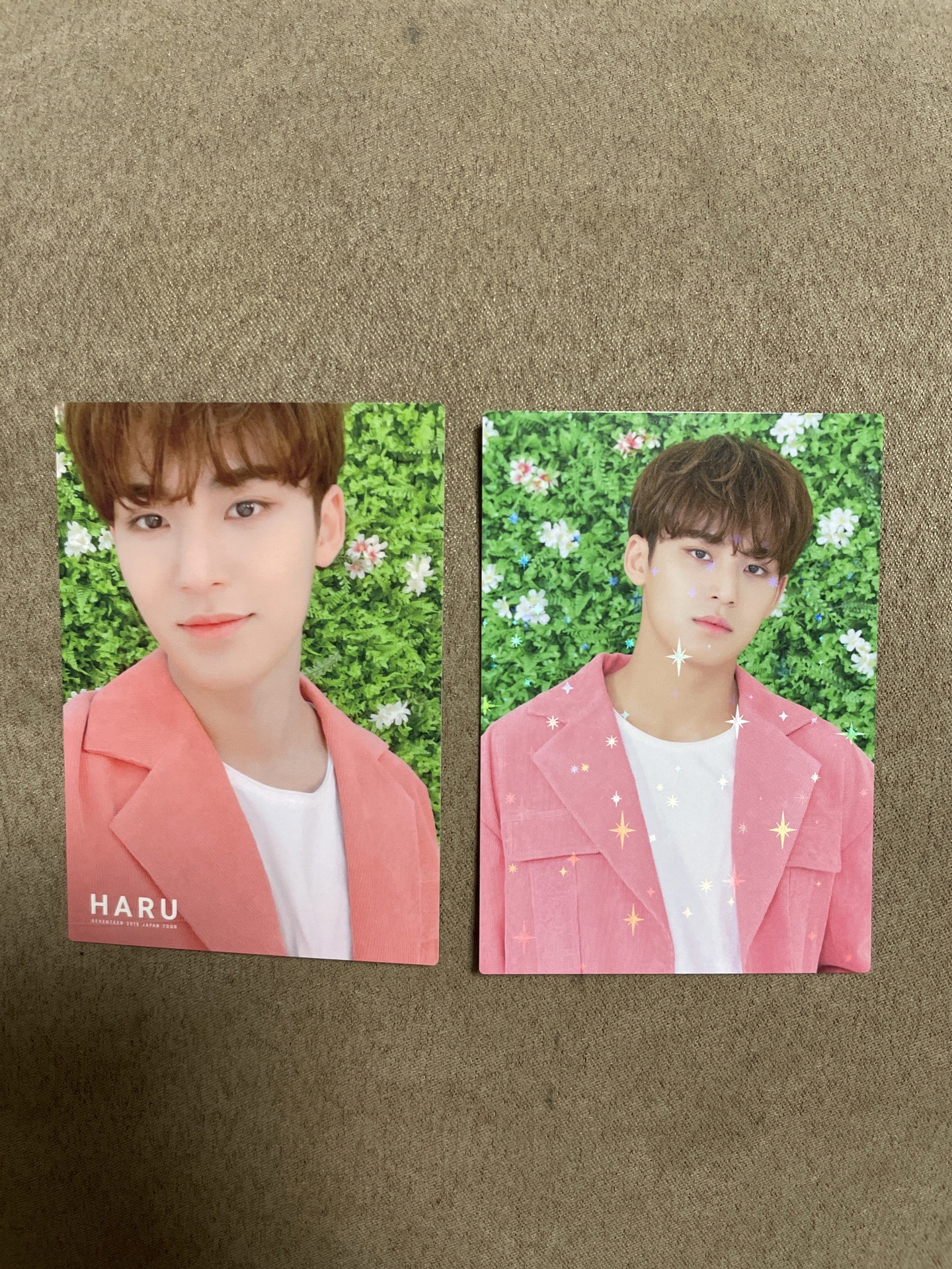 seventeen 2019珉奎日巡小卡