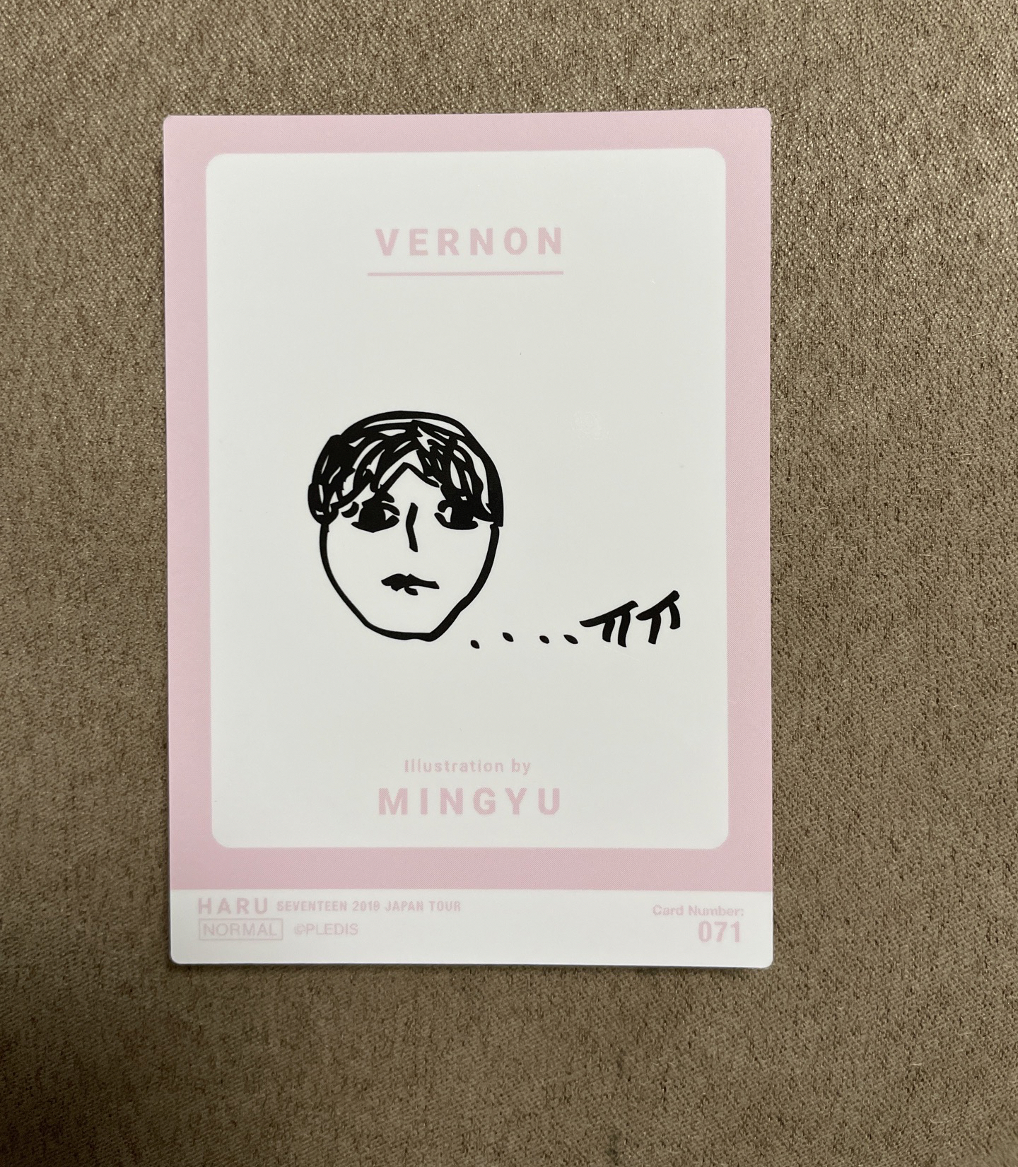 seventeen 2019珉奎日巡小卡071