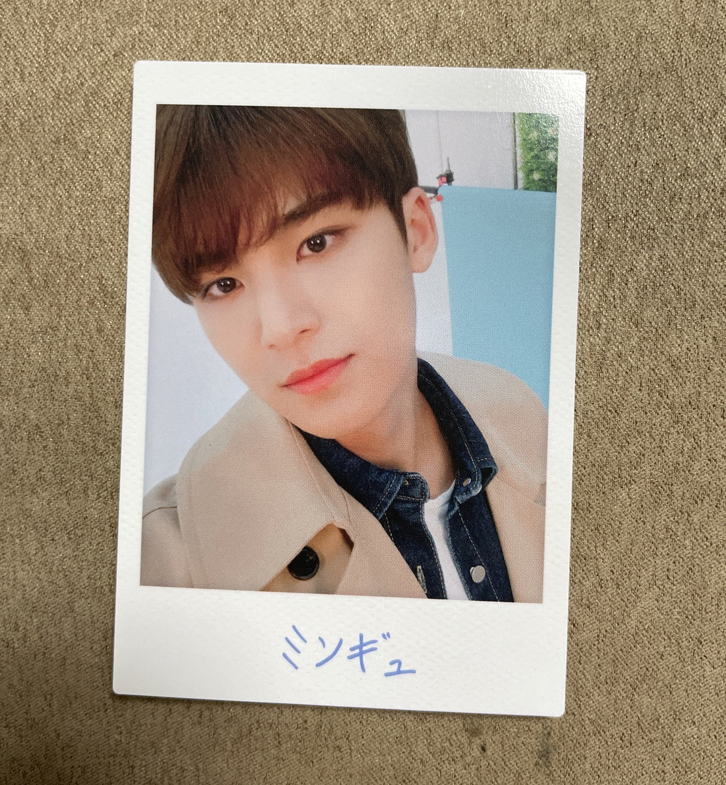 seventeen 2019珉奎日巡小卡123