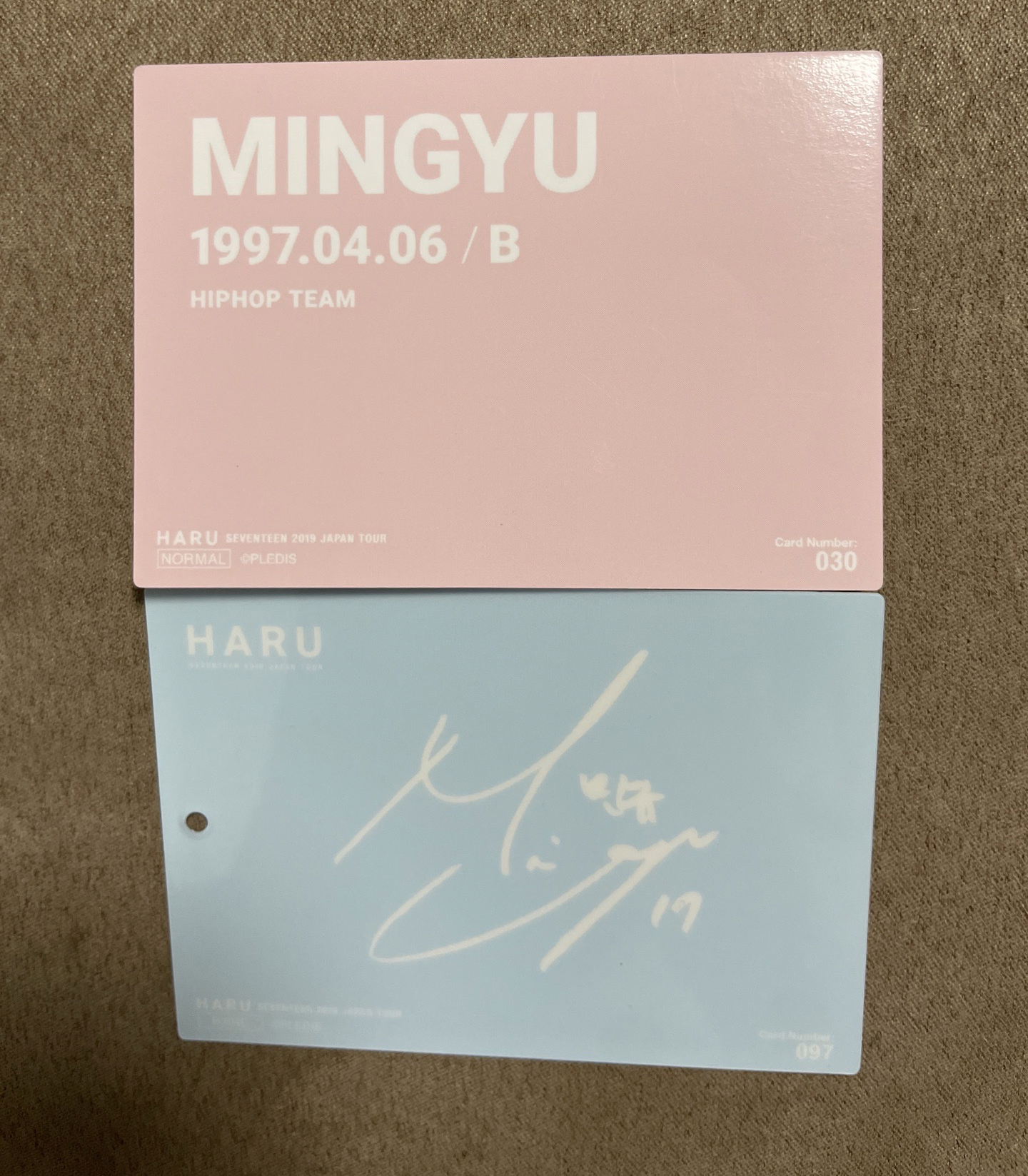 seventeen 2019珉奎日巡小卡