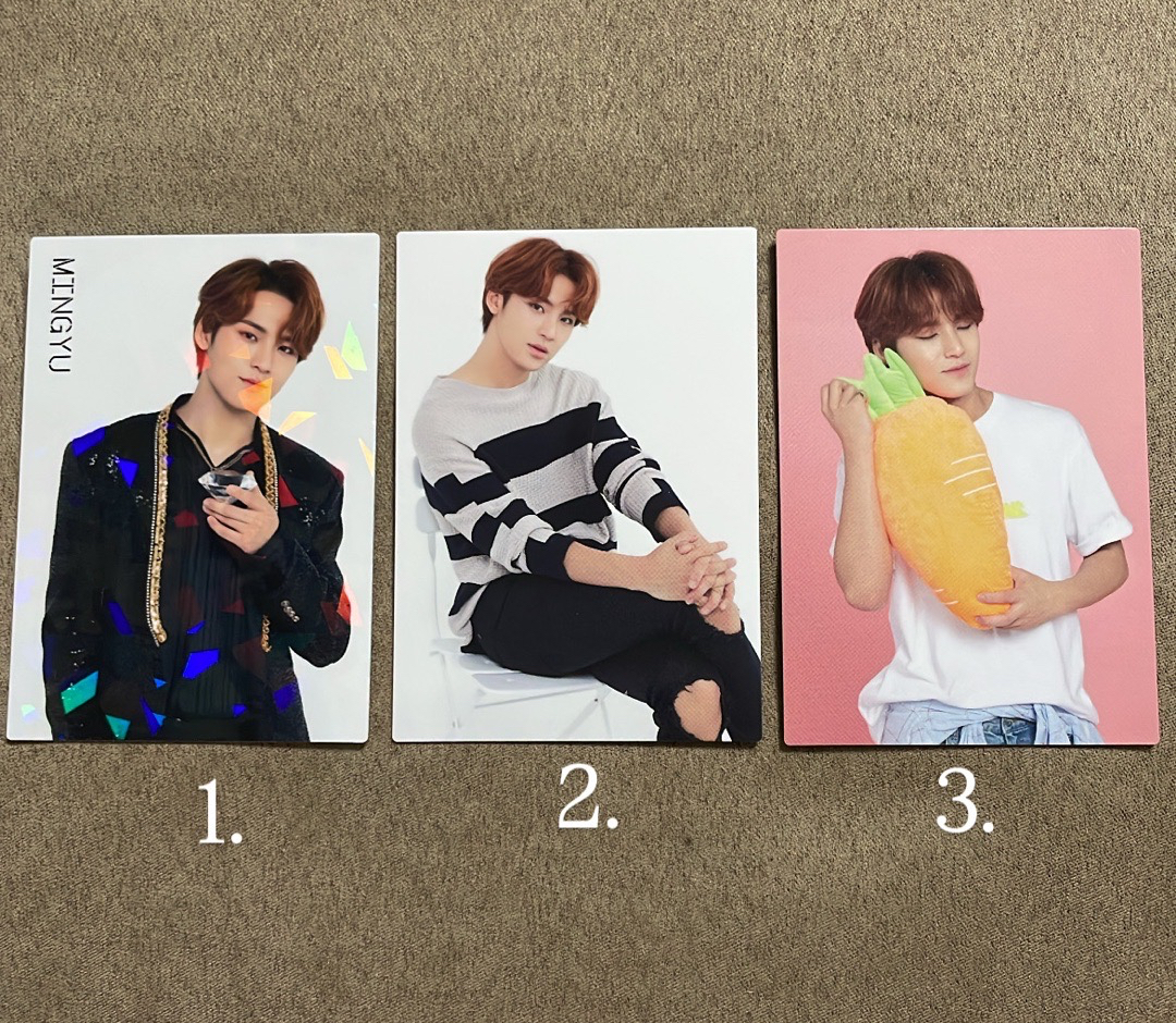 seventeen 2018珉奎日巡小卡