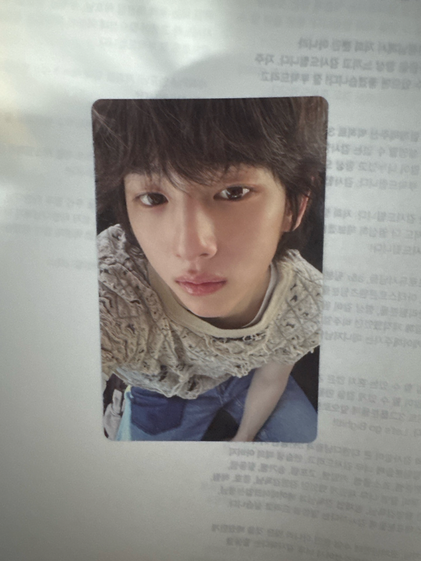 Cortis 金主訓s2 專卡