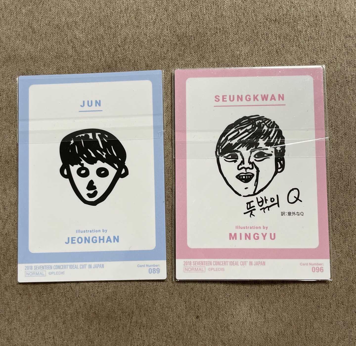 seventeen 2018珉奎淨漢日巡小卡