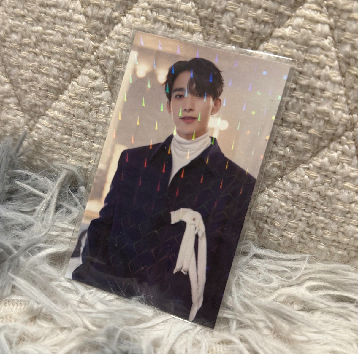 Dream塔店抽選 DK🐶