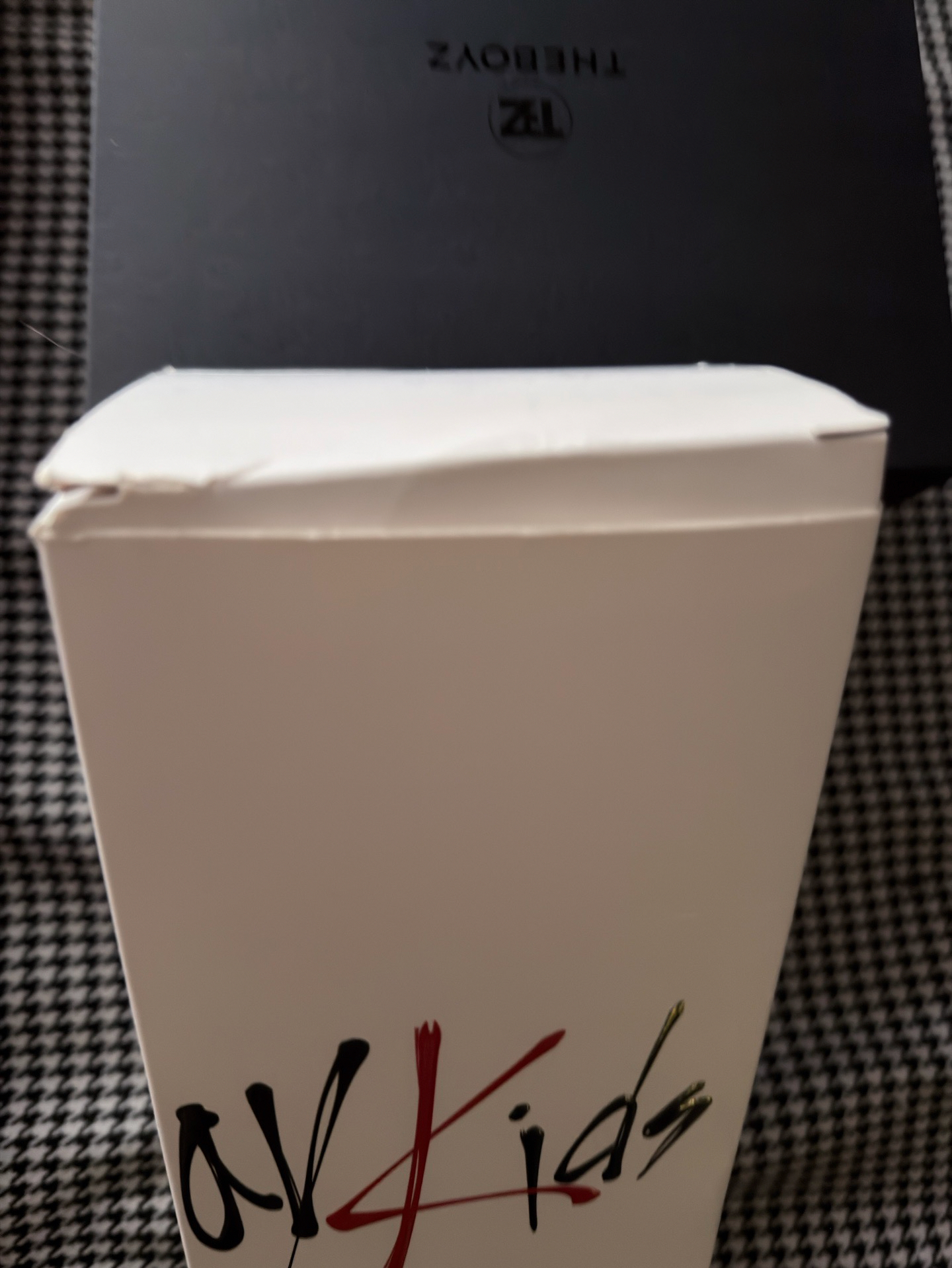 （現貨兩支一起出 可當日寄出）straykids the boyz 一代手燈 應援棒