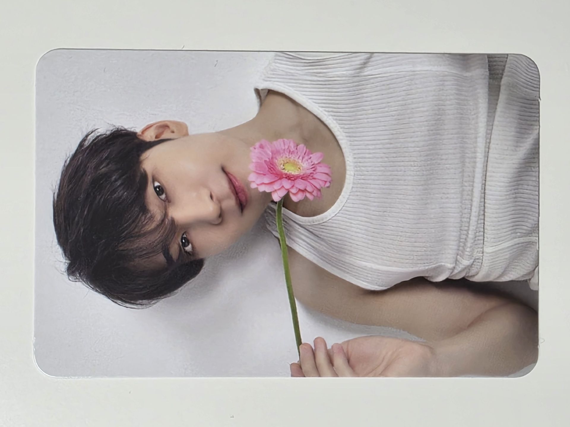 精選專 克拉盤 圓